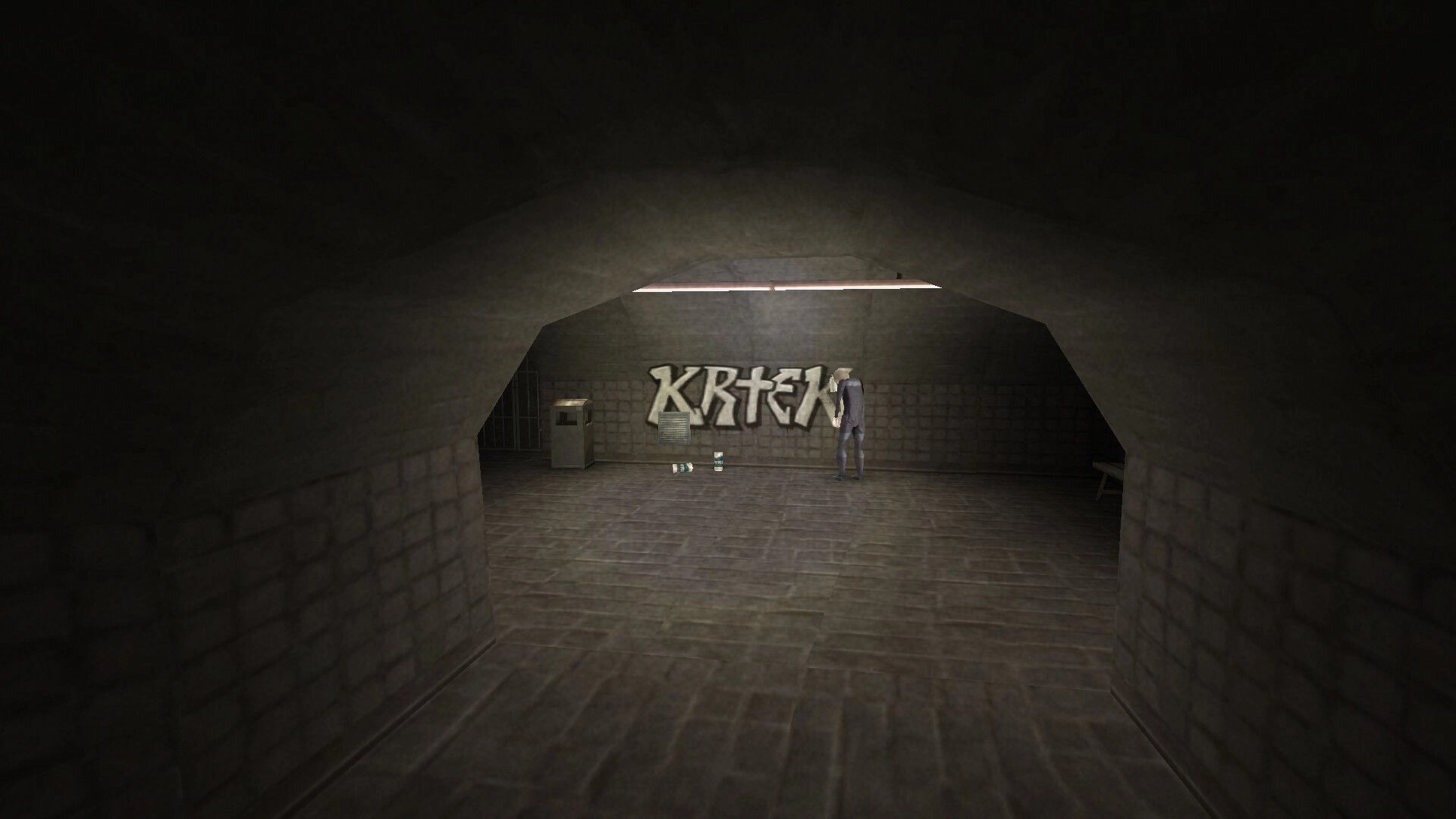 Brno Transit: Dark subway corridor with graffiti-covered wall and lone figure standing near trash bin
