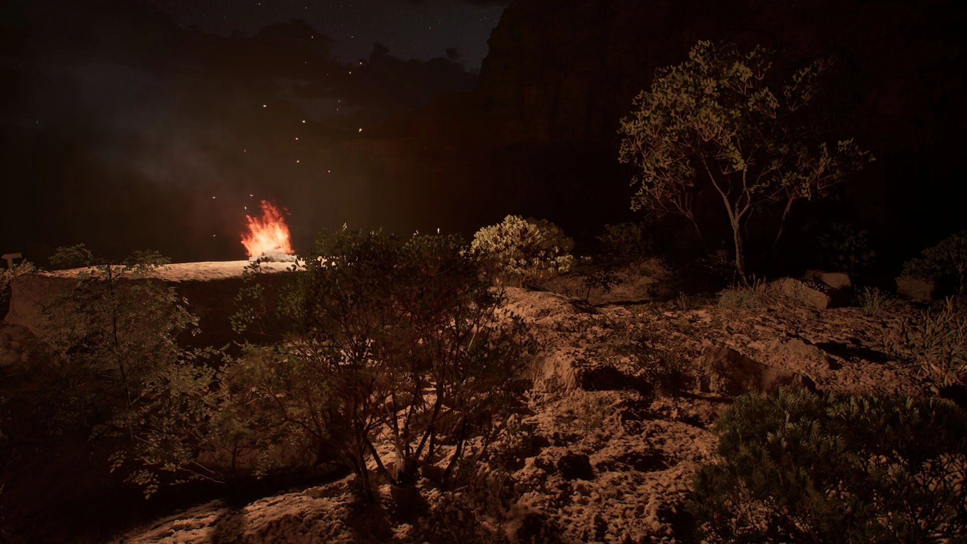 Carcerem: Campfire illuminating a rocky path surrounded by dense trees in a dark, mysterious forest