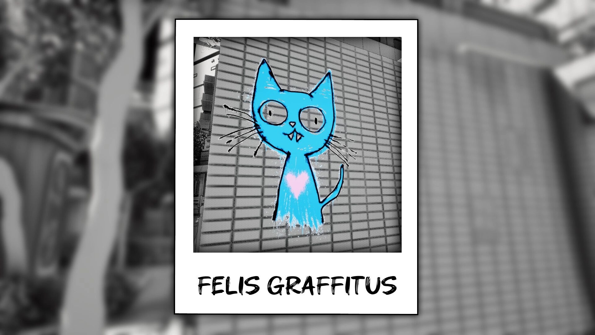 Cat Me If You Can: Photo card of blue cat graffiti labeled FELIS GRAFFITUS on tiled wall backdrop.