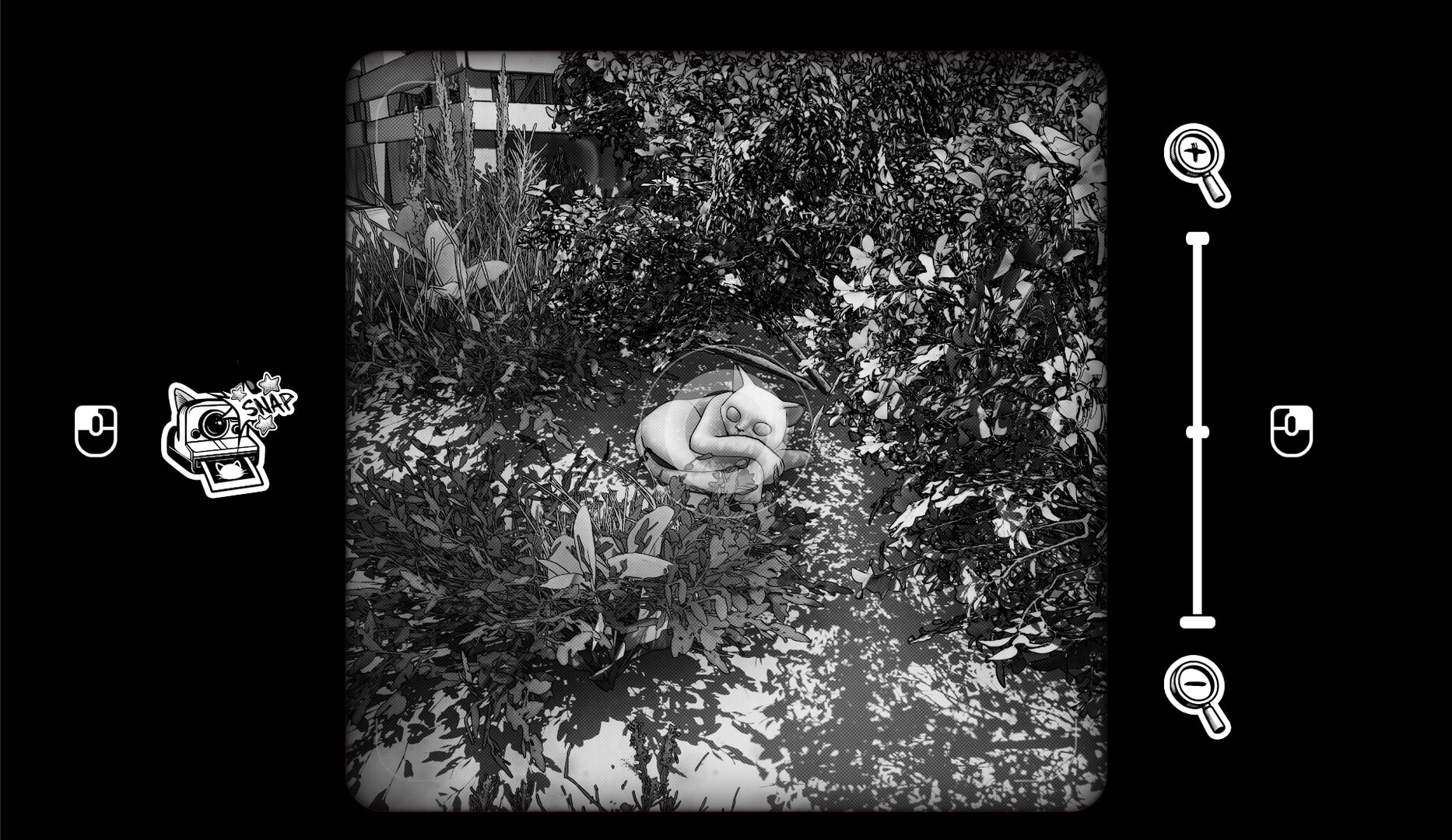 Cat Me If You Can: Snapping a curled-up cat in bushes using camera viewfinder in leafy garden scene.