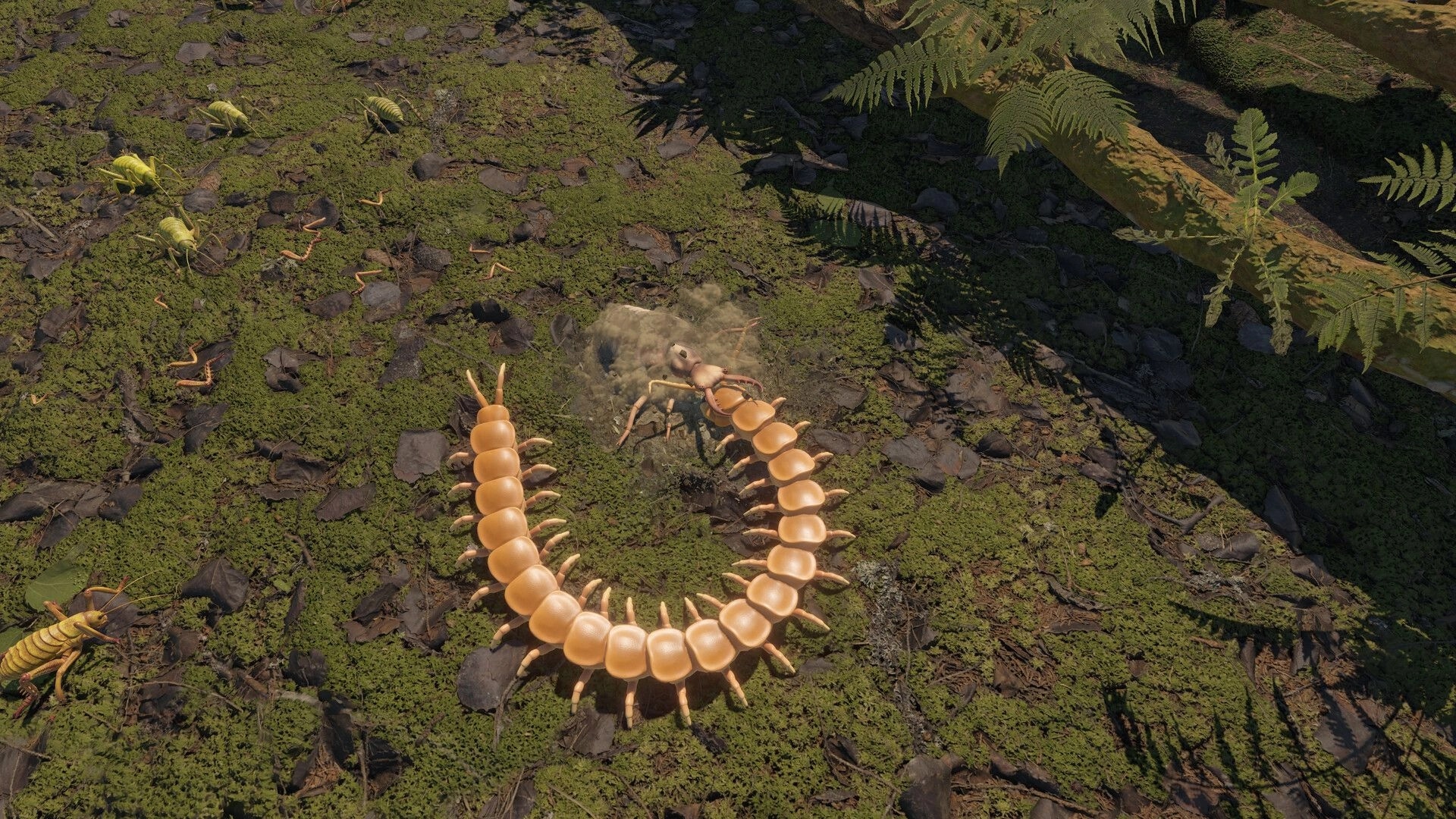 Centipede Simulator: Giant centipede curls around an ant on mossy forest floor with ferns nearby.