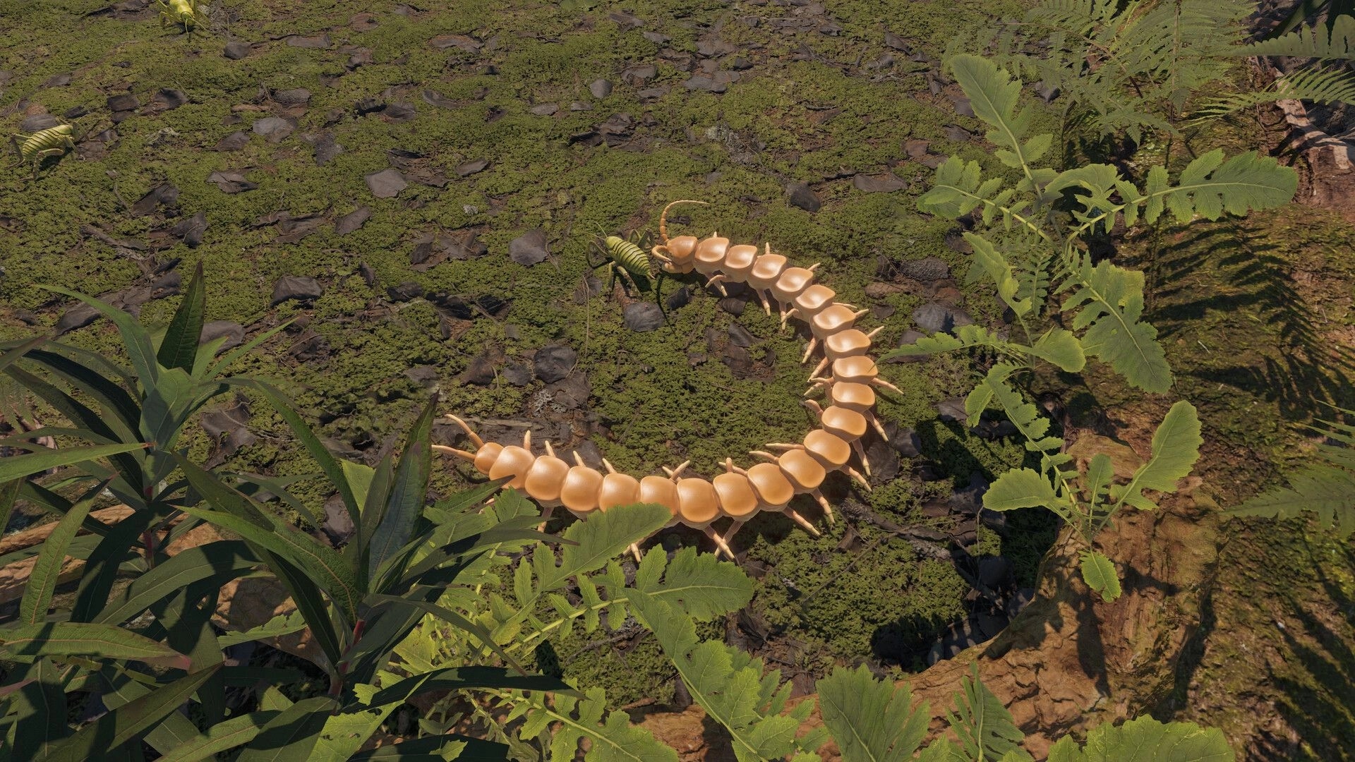 Centipede Simulator: Long tan centipede biting a green cricket on mossy ground among leafy plants.