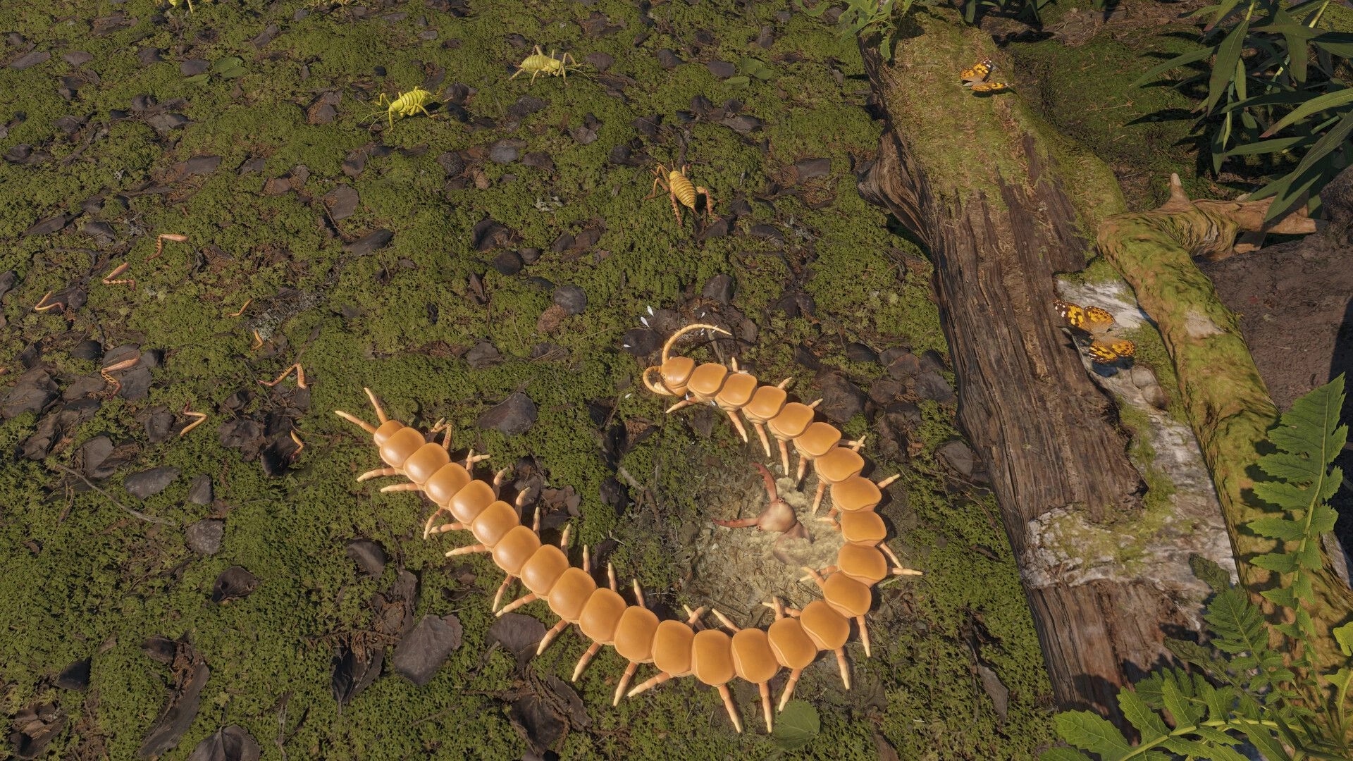 Centipede Simulator: Orange centipede coils around prey on mossy forest floor beside a log.