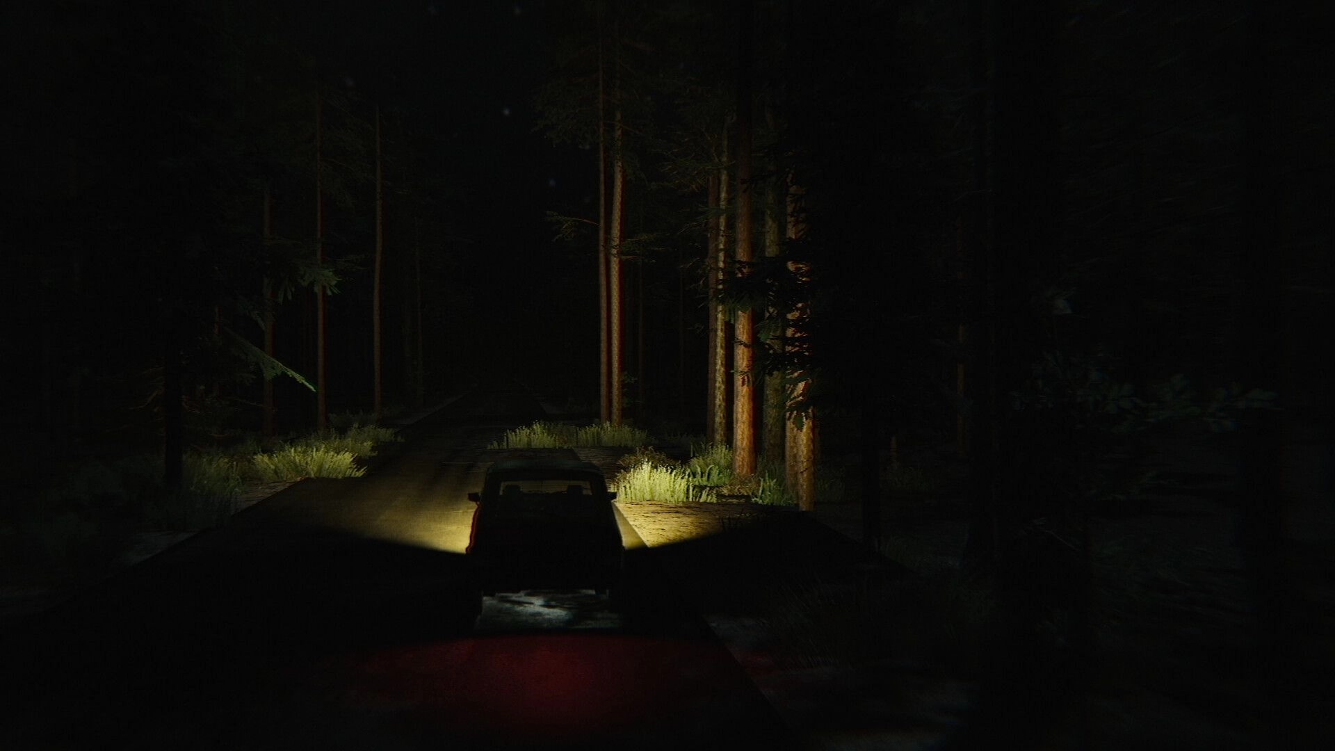 CH13: Car headlights illuminate a narrow forest road at night, viewed through dark windshield streaks.