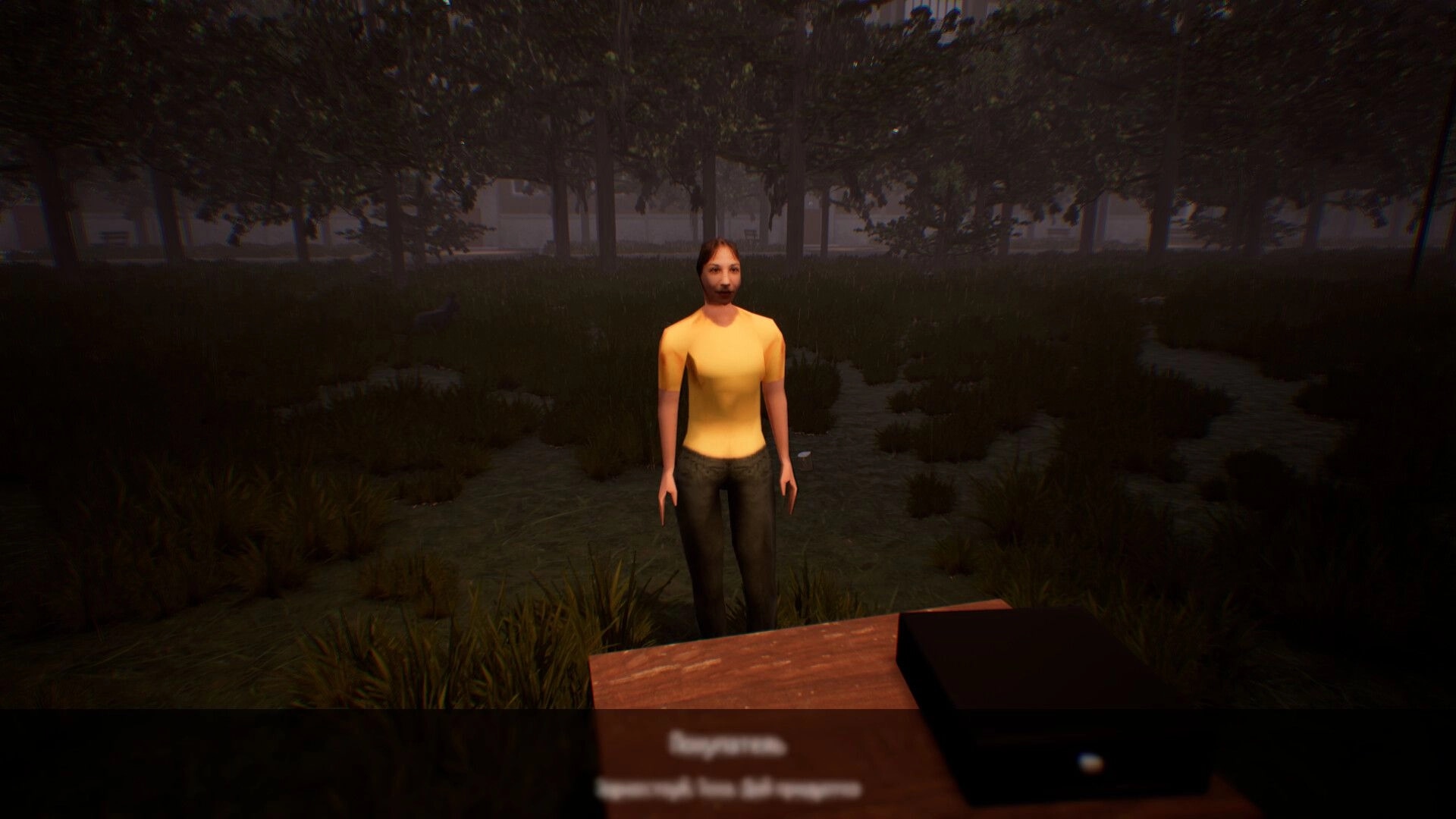 Change: Customer stands at the stall counter in a foggy wooded park, with dialogue text below.