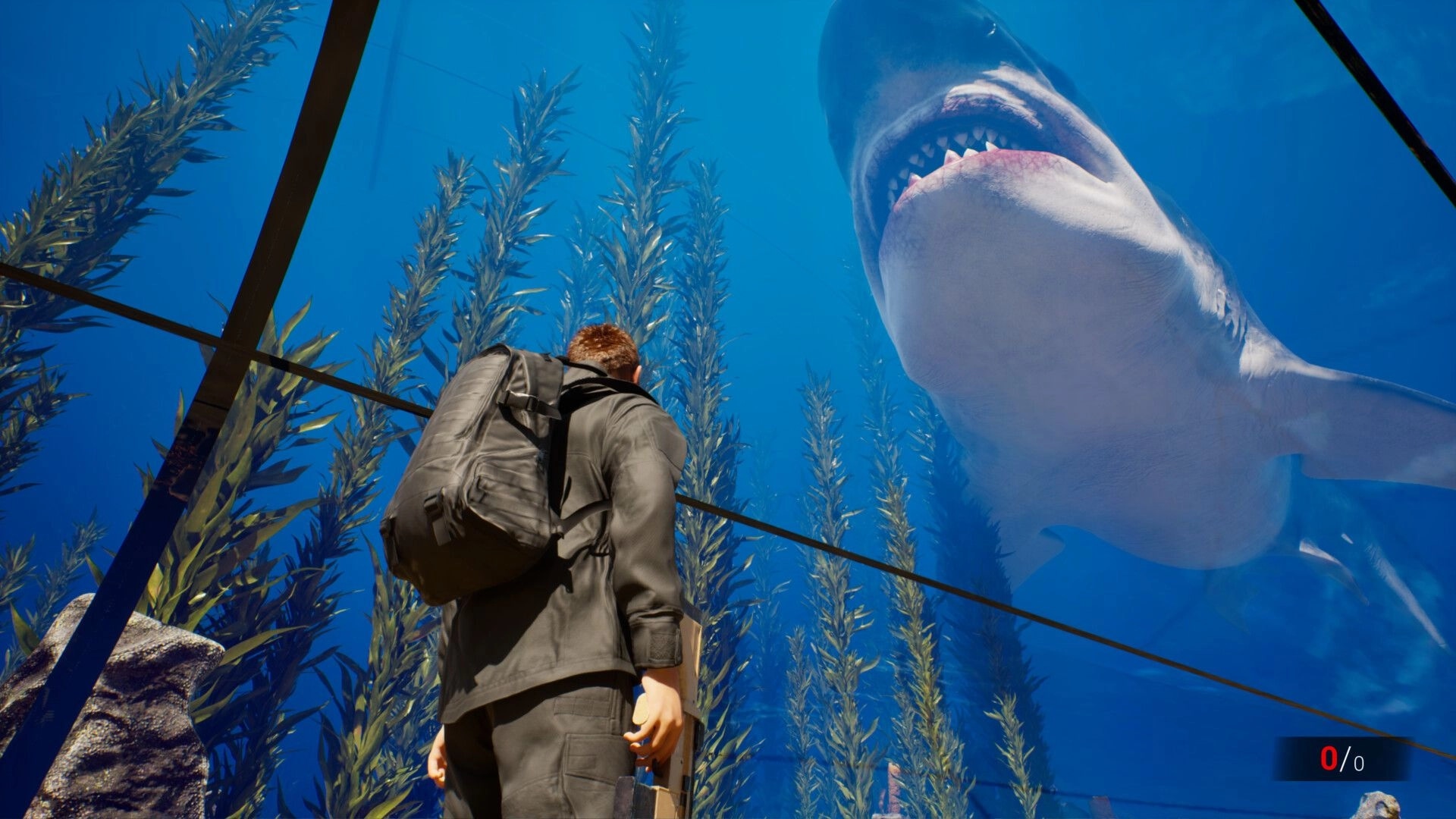 Clawed: Character observes massive shark in underwater enclosure with zero ammo displayed on screen