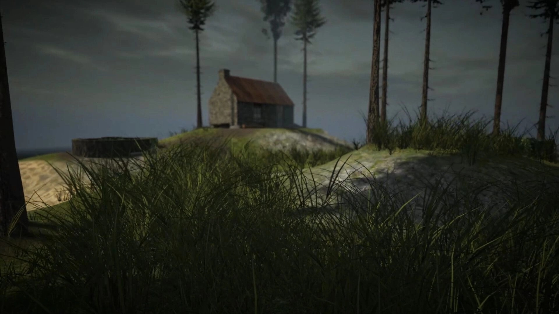 Cobble Climber: View of a small stone cabin on a grassy hill with tall pines in misty fog.