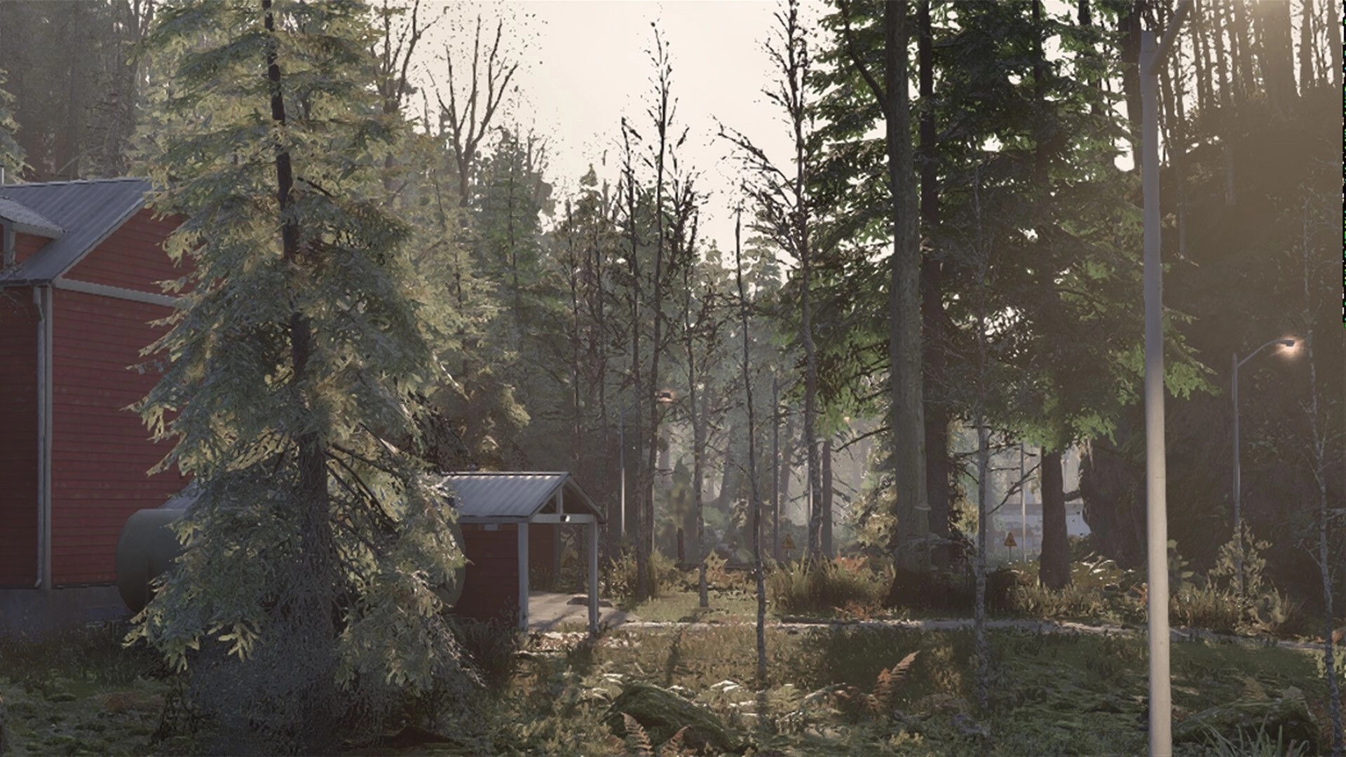 Cold Response: Quiet forest road by red cabin and lampposts in misty morning light.