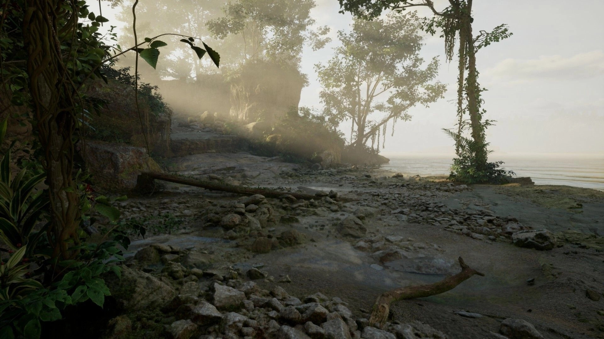 Cosmic Fear: Exploring a misty rocky shoreline with jungle vines, trees, and calm sea ahead.