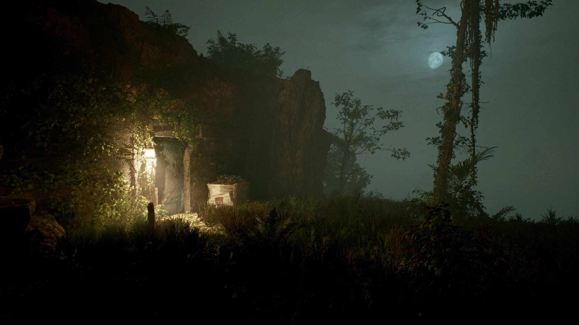 Cosmic Fear: Lantern-lit bunker door in rocky hillside with foggy forest and moonlit sky beyond.