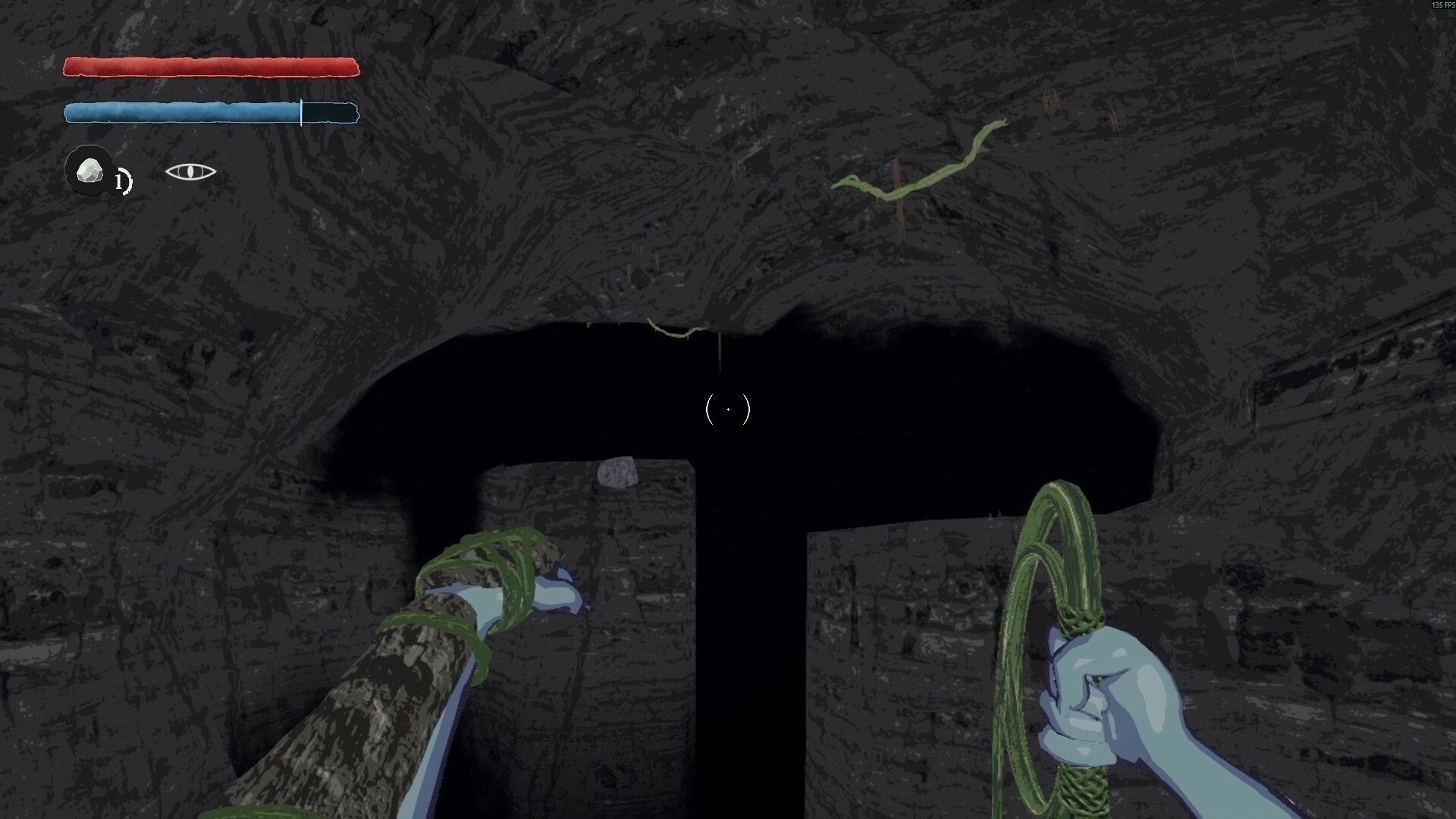 Crack In The Dark: Player prepares to swing across cavernous abyss using whip, health bars visible