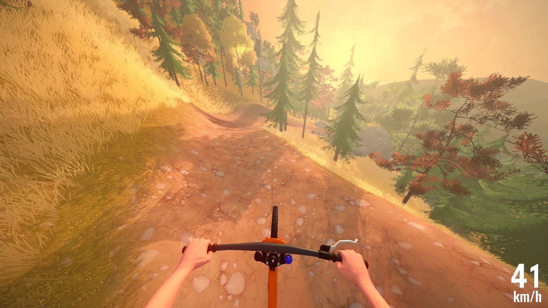Cranked: First-person downhill biking through a sunny forest trail with speedometer showing 41 km/h
