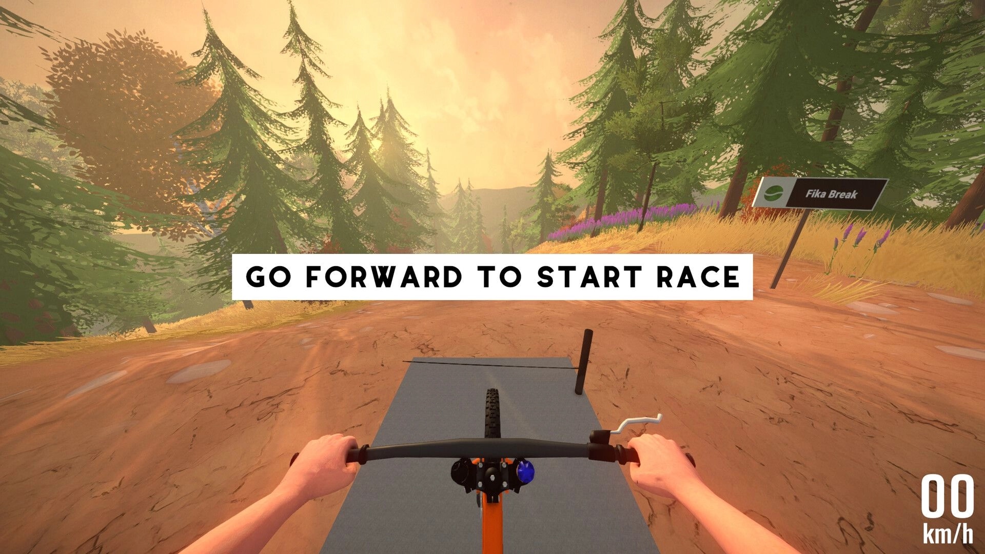 Cranked: First-person view of mountain bike handlebars on a dirt trail with "Go Forward to Start Race"