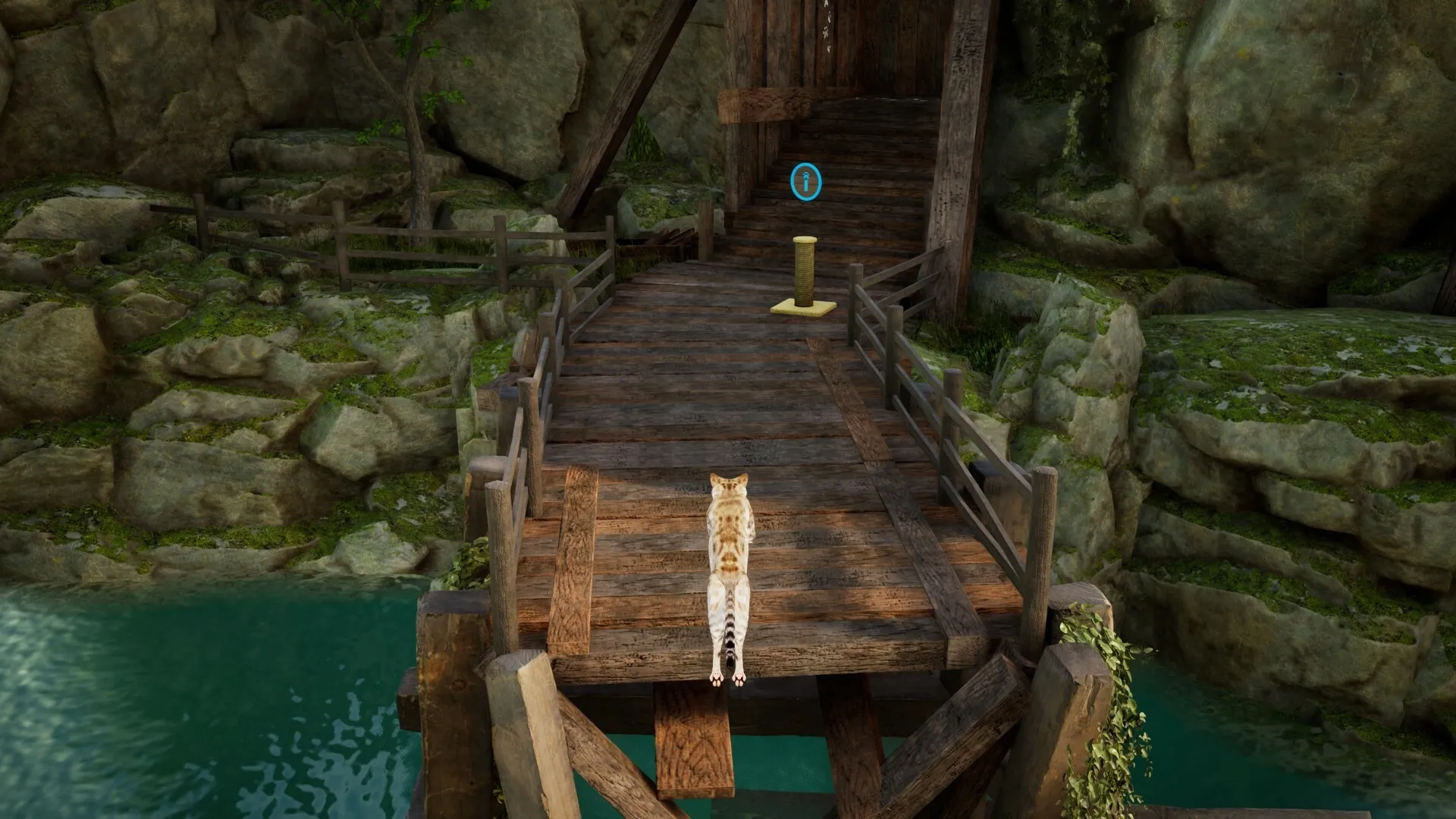 Curiosity: Cat leaps onto a wooden bridge towards a scratching post in a lush, rocky canyon environment
