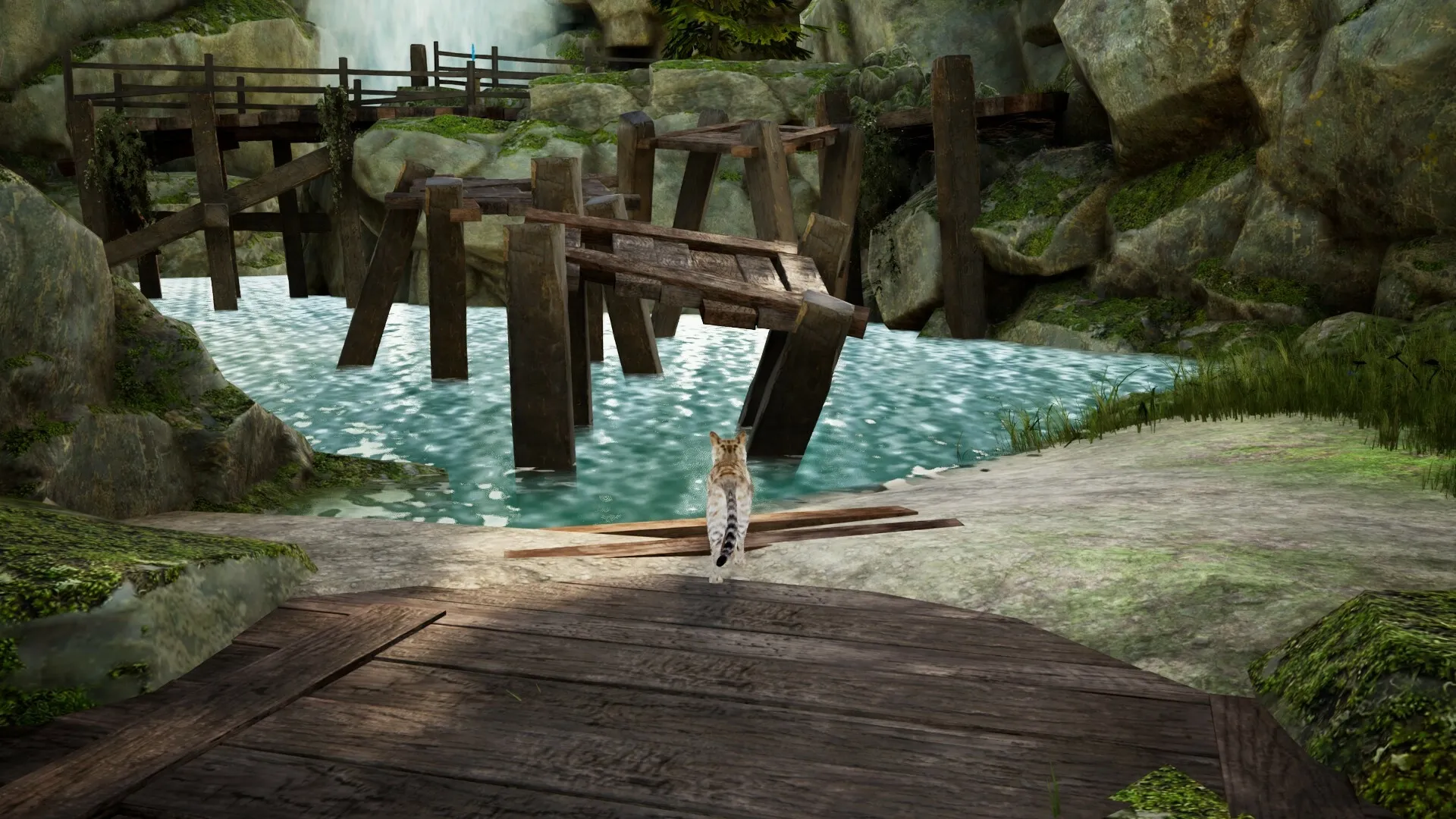 Curiosity: Cat poised on wooden plank overlooking broken bridge in lush, rocky river environment