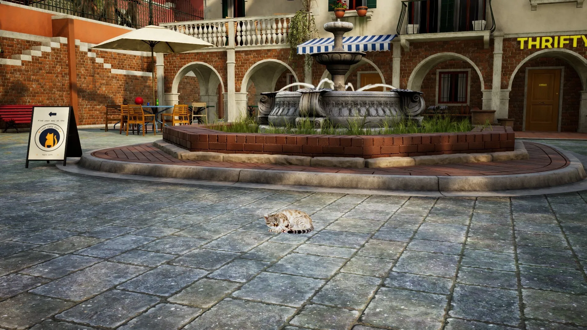 Curiosity: Cat lounging near a fountain in a quaint courtyard with tables and sign for a cat café