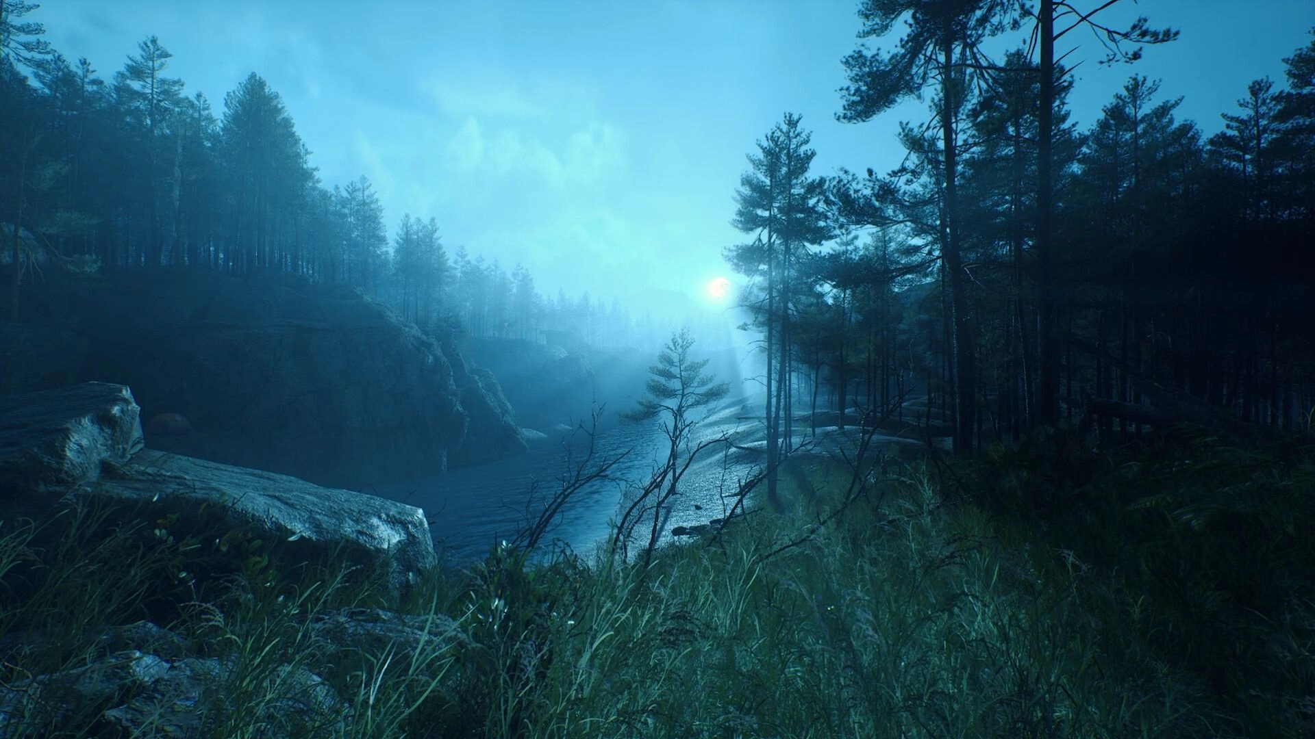 Deadhikers: Serene forest landscape with river at dawn, surrounded by dense trees and misty atmosphere