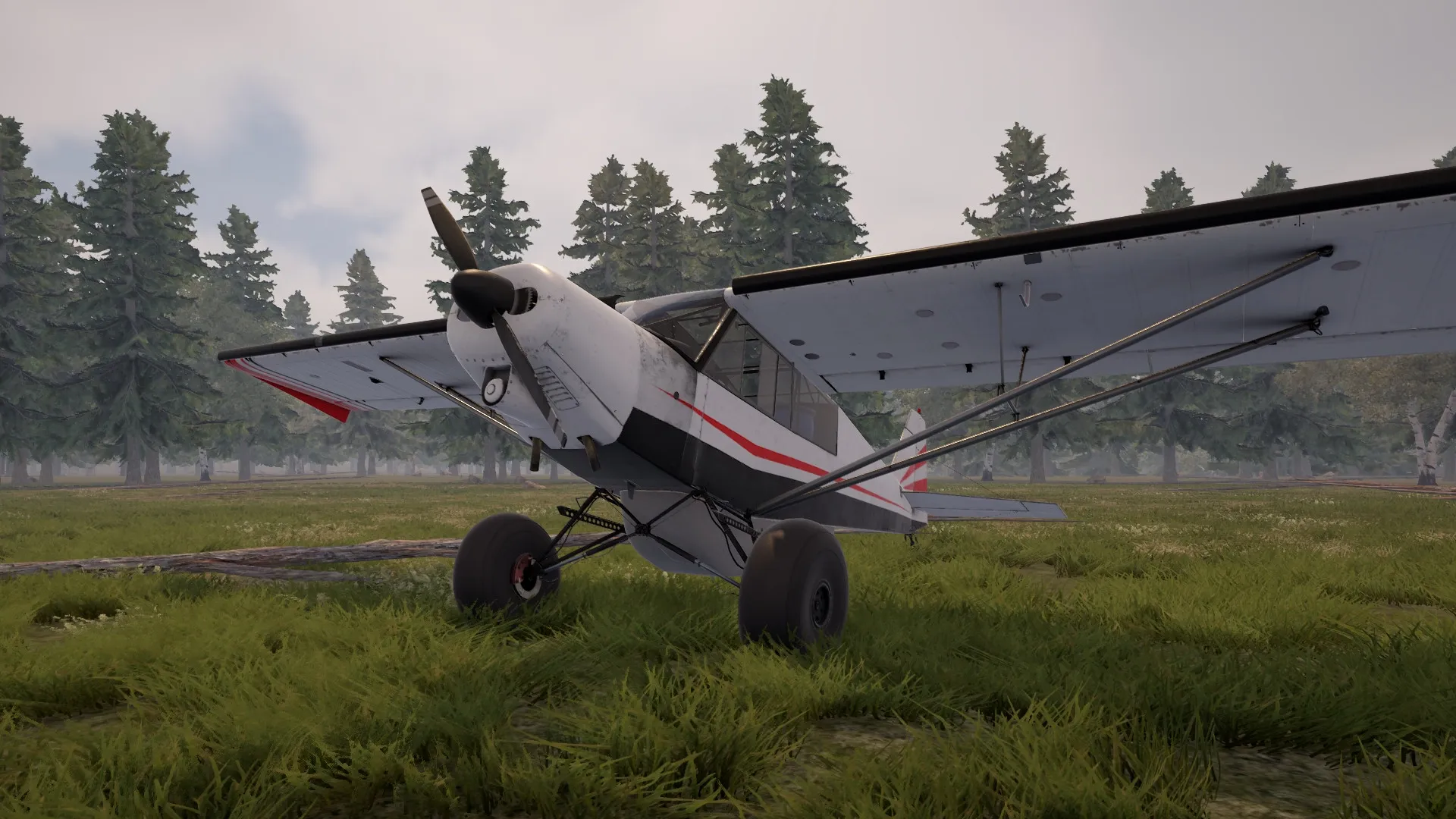 Deadstick: Small bush plane parked on grassy field surrounded by dense forest and cloudy sky overhead