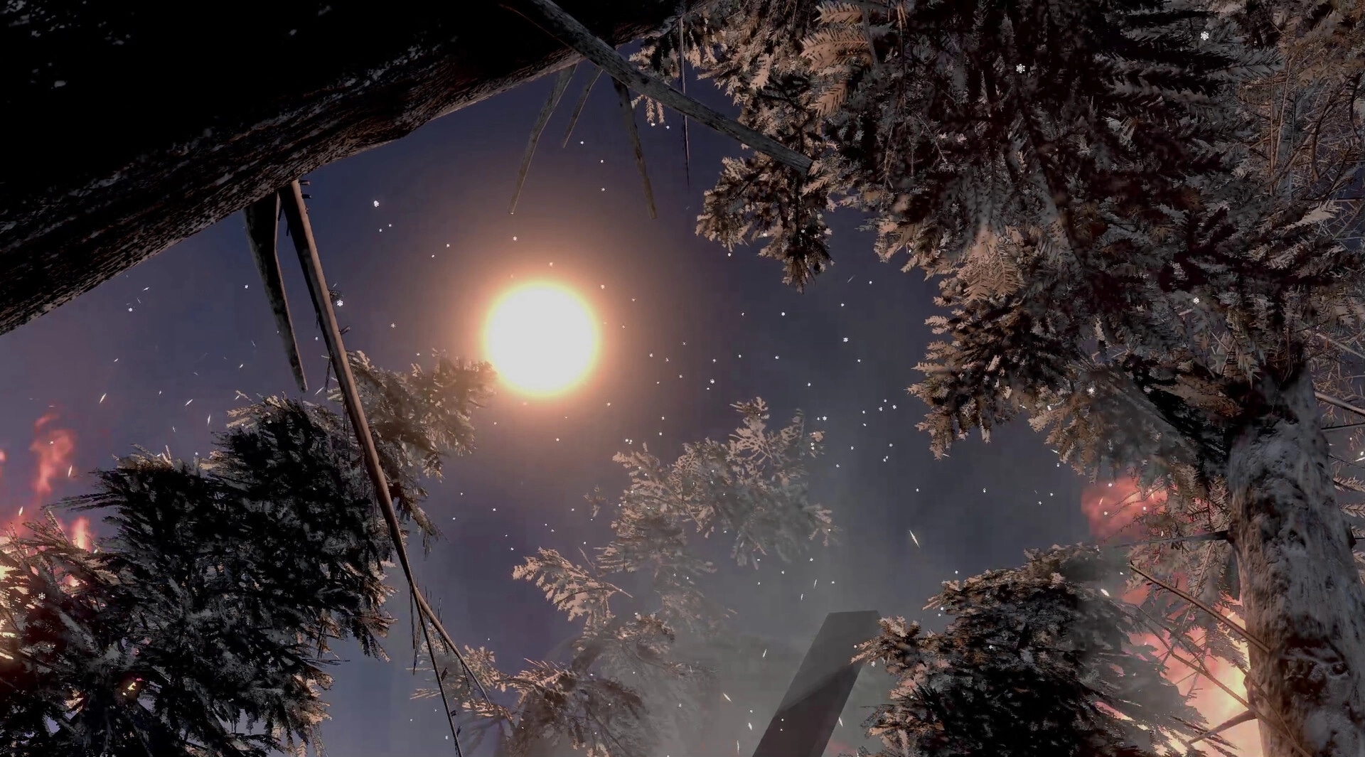 Death In Your Dice: Moonlit forest view with snow-covered trees and glowing night sky ambiance