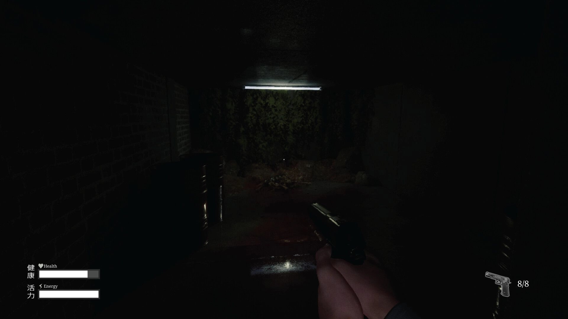 Den-Den: Player aims handgun in dimly lit underground tunnel, health and energy bars displayed.