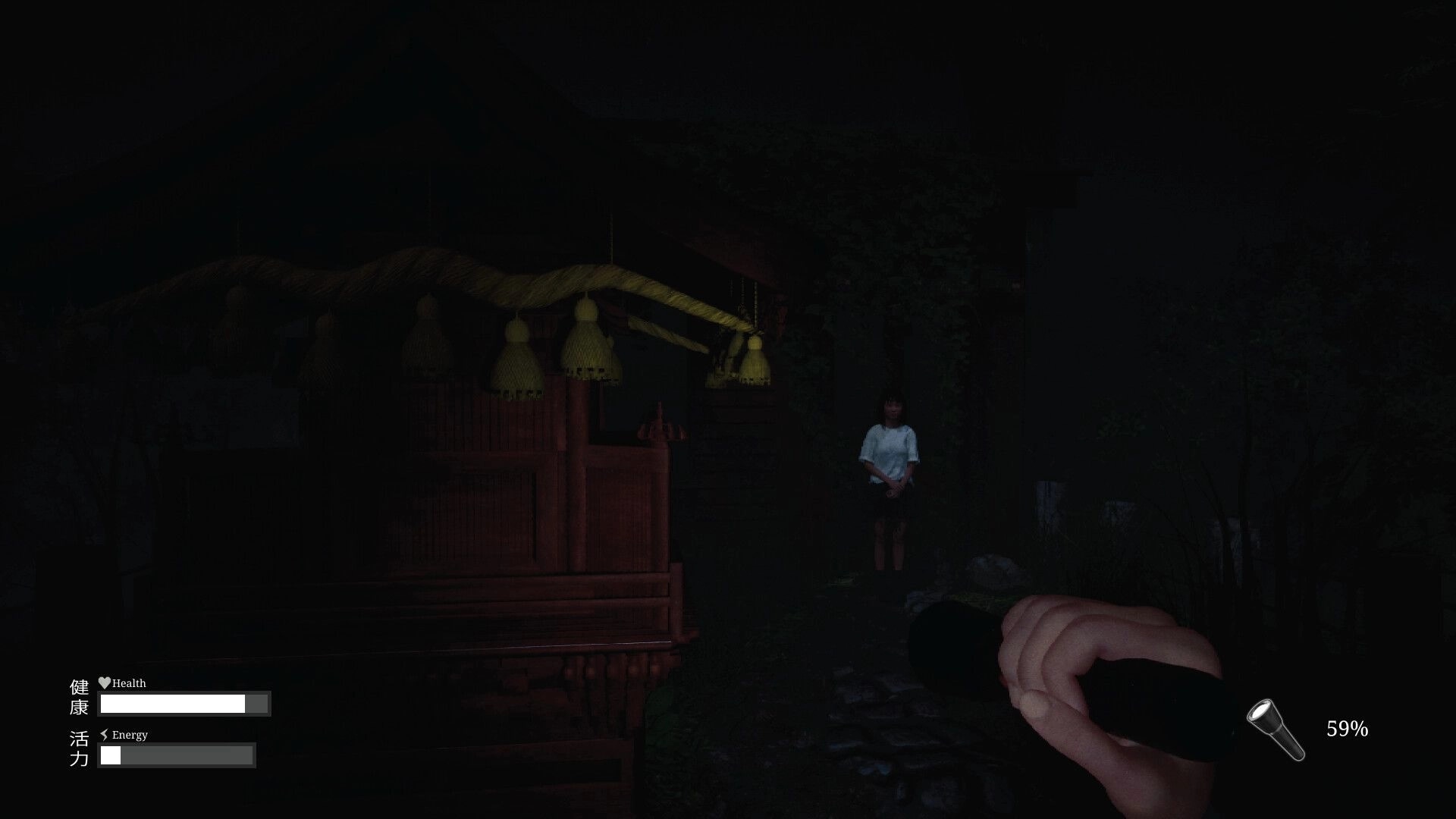 Den-Den: Flashlight illuminates shrine path with character ahead, health and energy bars on screen.