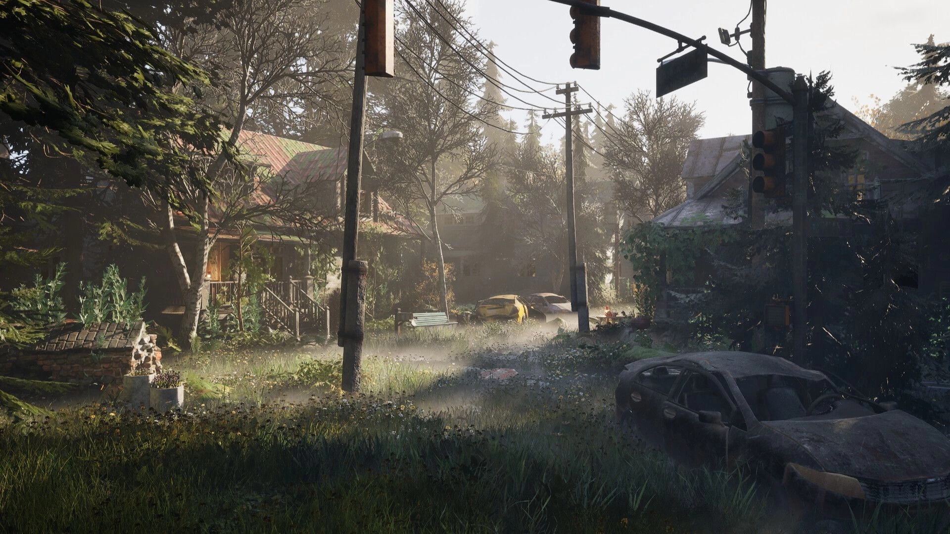 Desserted: Overgrown village street with abandoned cars and misty atmosphere in a dense forest setting