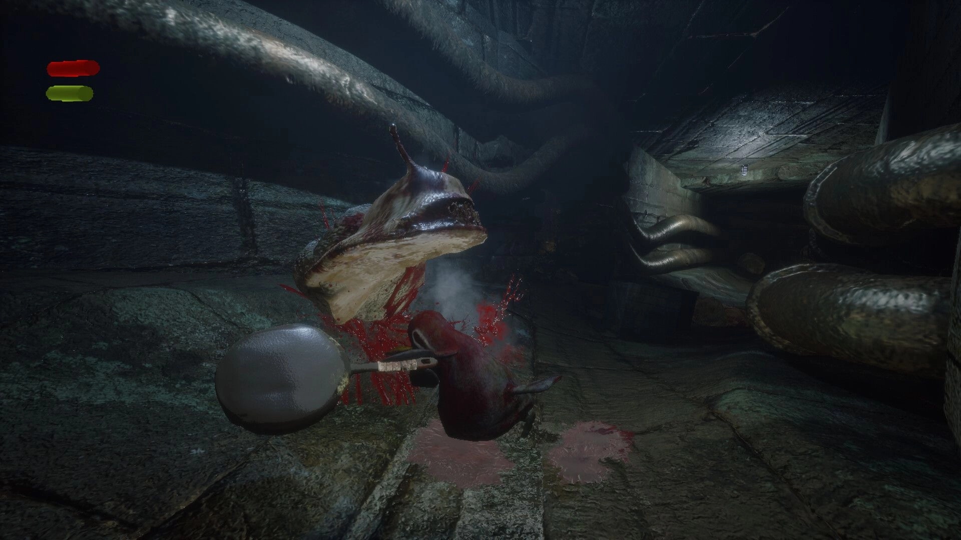Devora: Bird character battles giant slug in dark sewer tunnel, with health bars visible on screen