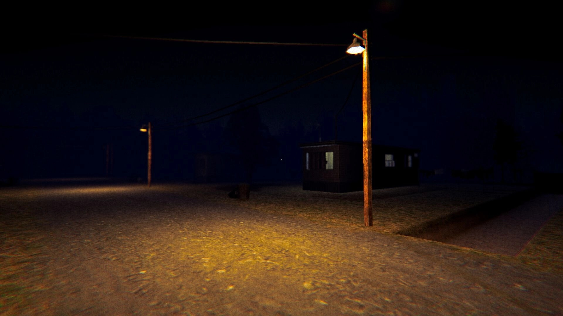 Dirty Laundry: First-person view of a dark roadside with streetlights and a small building at night.