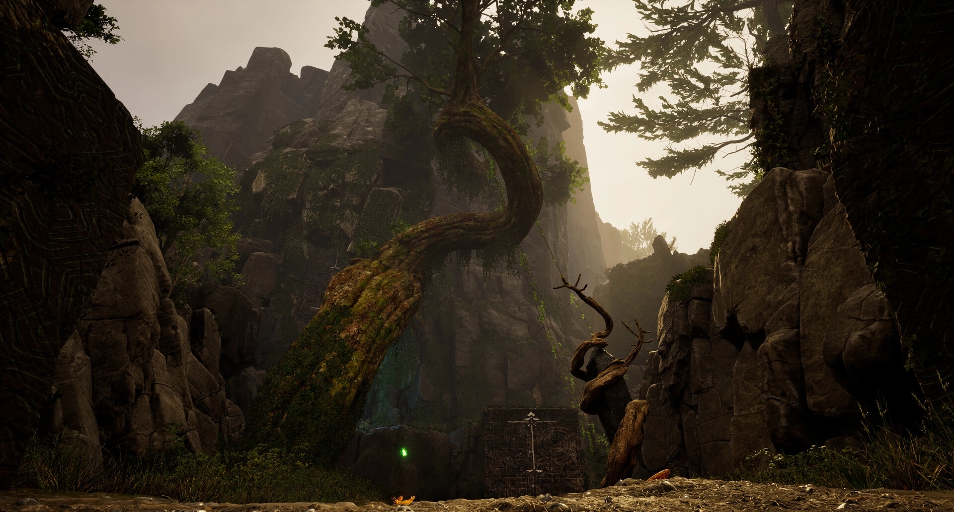 Dragon Khan: Ancient twisted tree in rocky canyon with mystical green light and carved stone walls