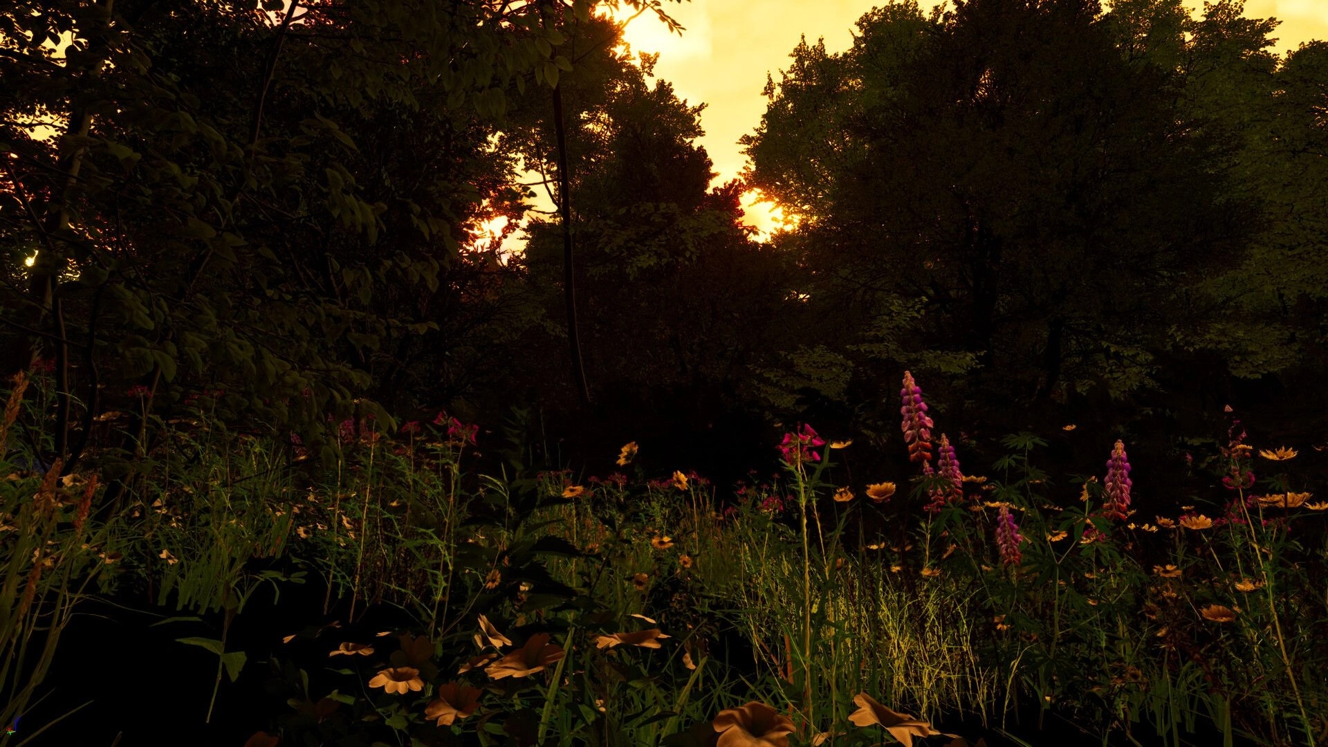 Dream Voyage: Lush forest clearing at sunset, vibrant flowers and dense trees illuminated by golden light