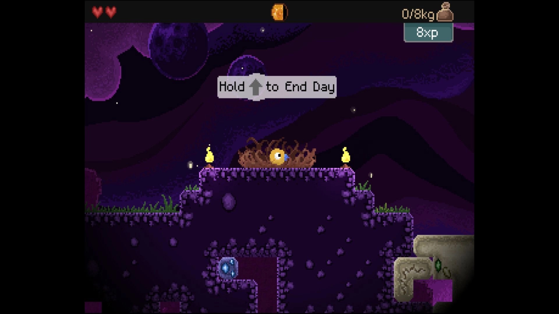 Drill Bird: Nest scene with two small birds, progress menu, and night sky in a pixel art style
