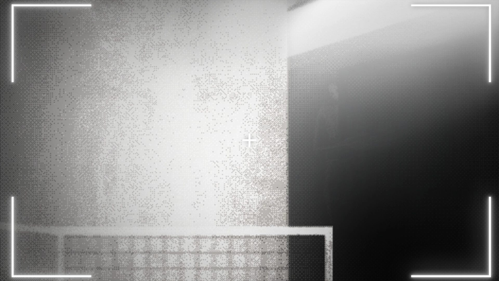 DUMMY HOUSE: Grainy camera view with crosshair aimed at a dark doorway in a stark corridor.