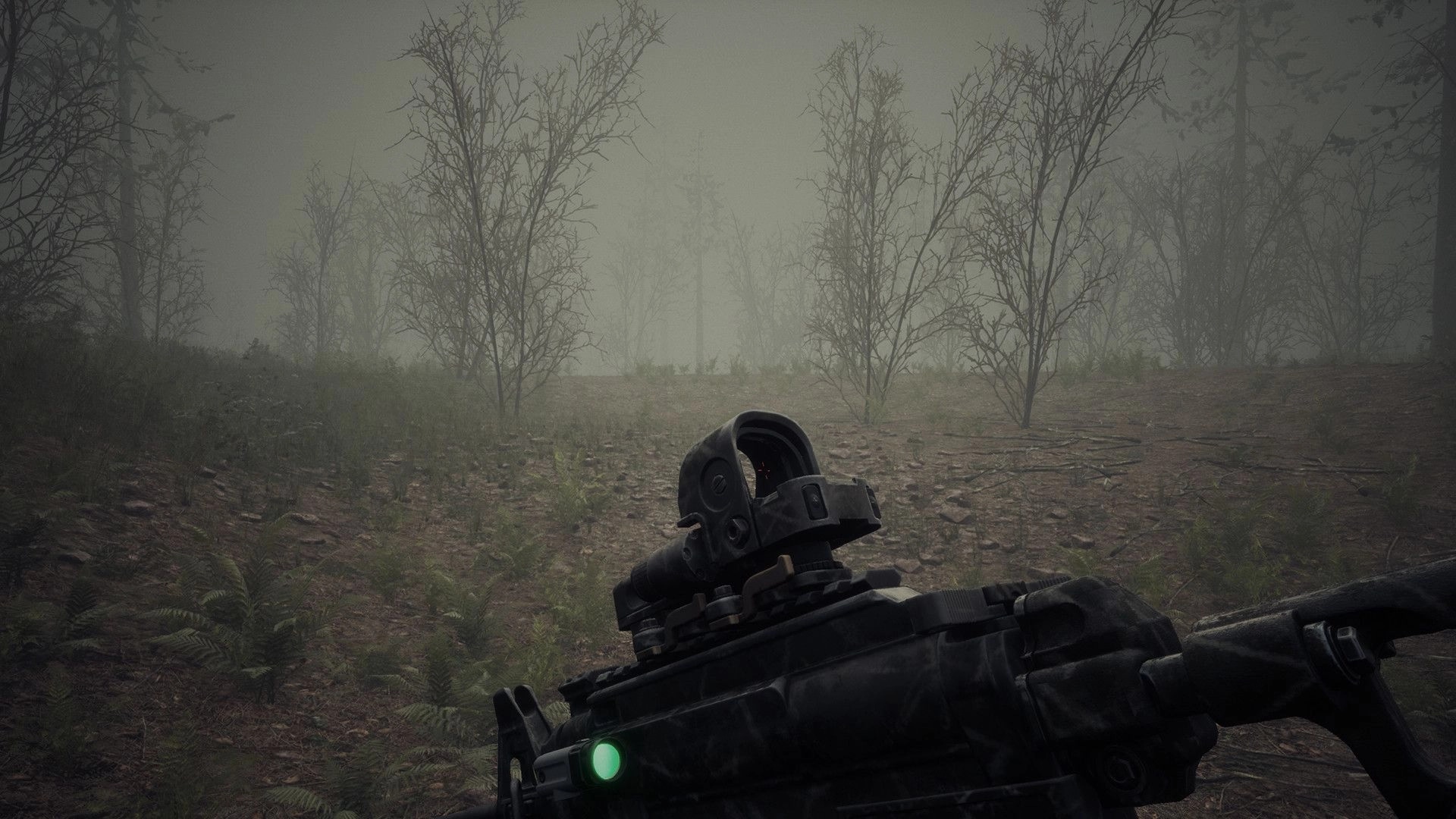 Evade The Light: First-person view aiming through a scope in a foggy, desolate forest environment