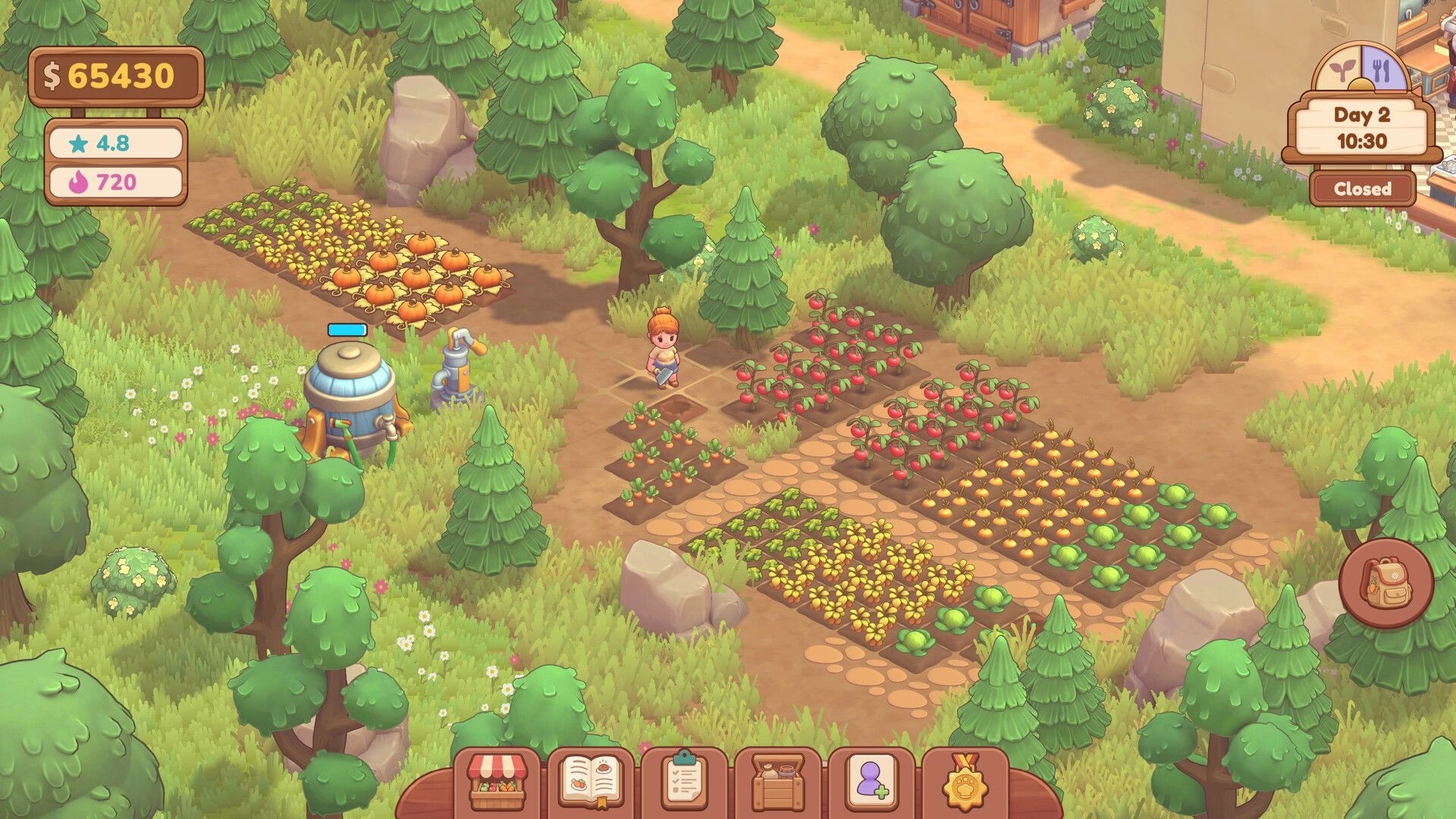 Farm & Feast: Farmer tends mixed crop plots beside water pump in forest clearing with day and money UI.