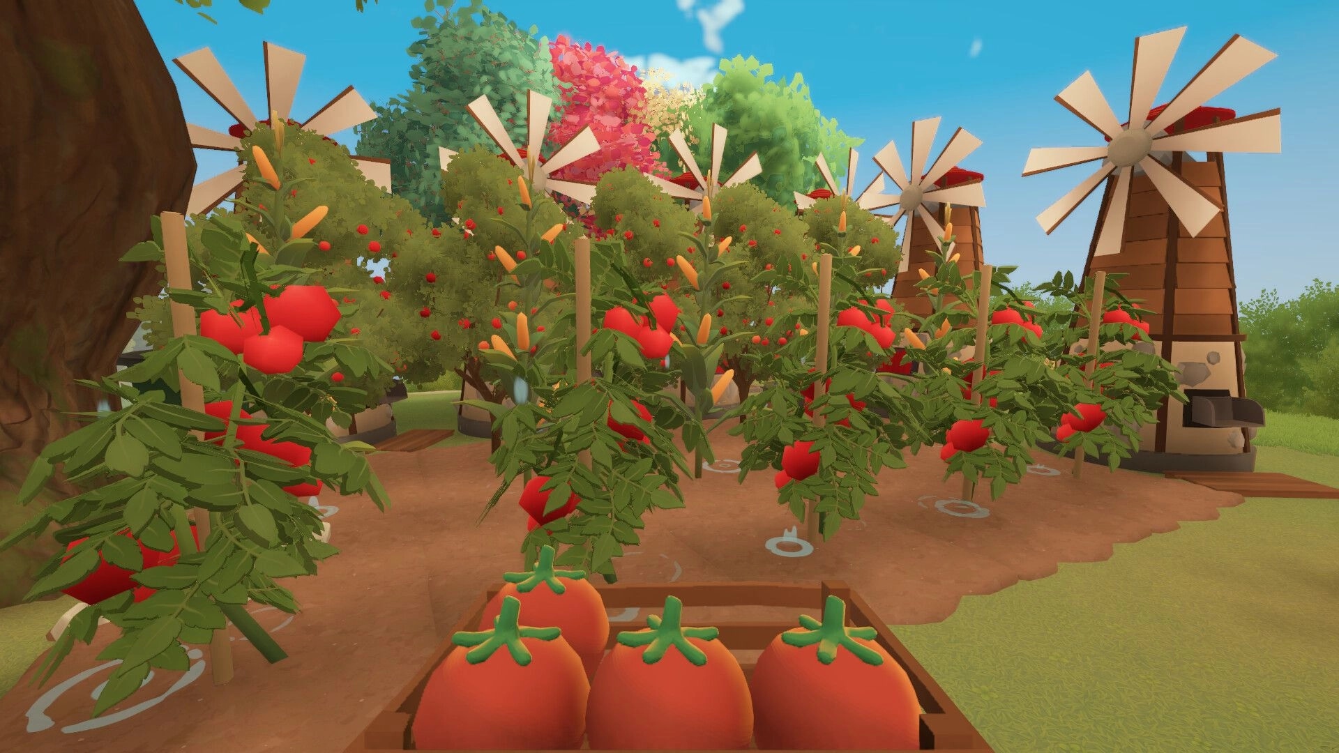 Farm to Table: Rows of ripe tomatoes grow under windmills in a vibrant farm setting