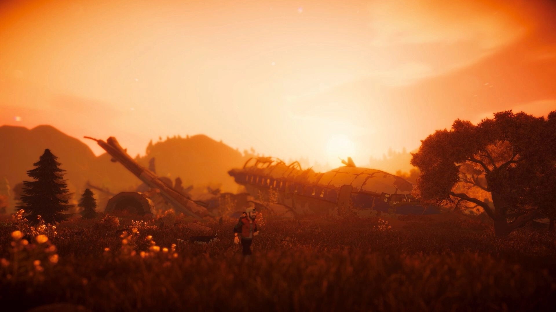 Fear Tide: Lone survivor walks past crashed airplane wreckage in a sunset-lit field near trees.