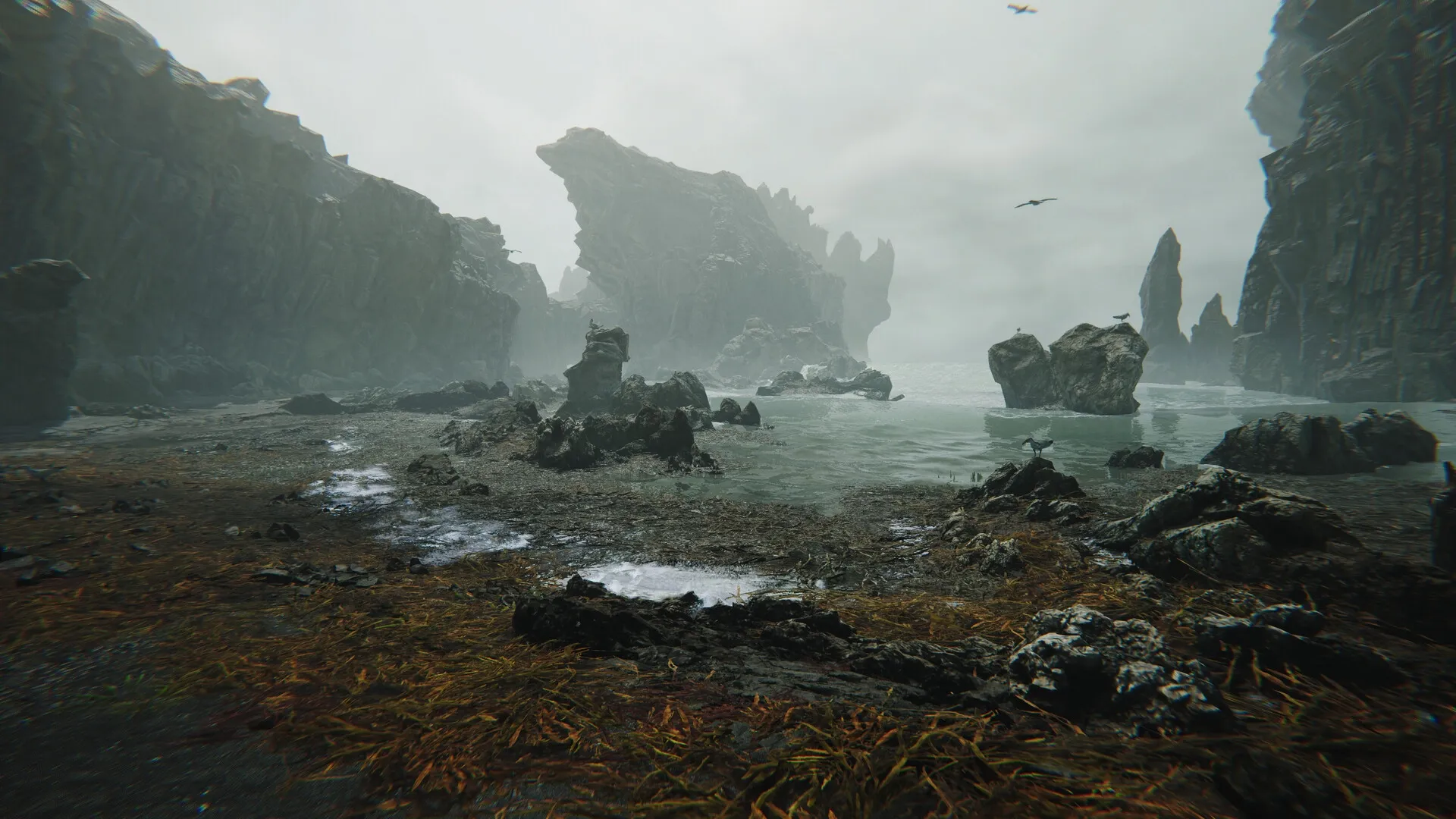 FEROCIOUS: Rugged coastline with jagged cliffs and stormy sea under overcast skies and distant birds.