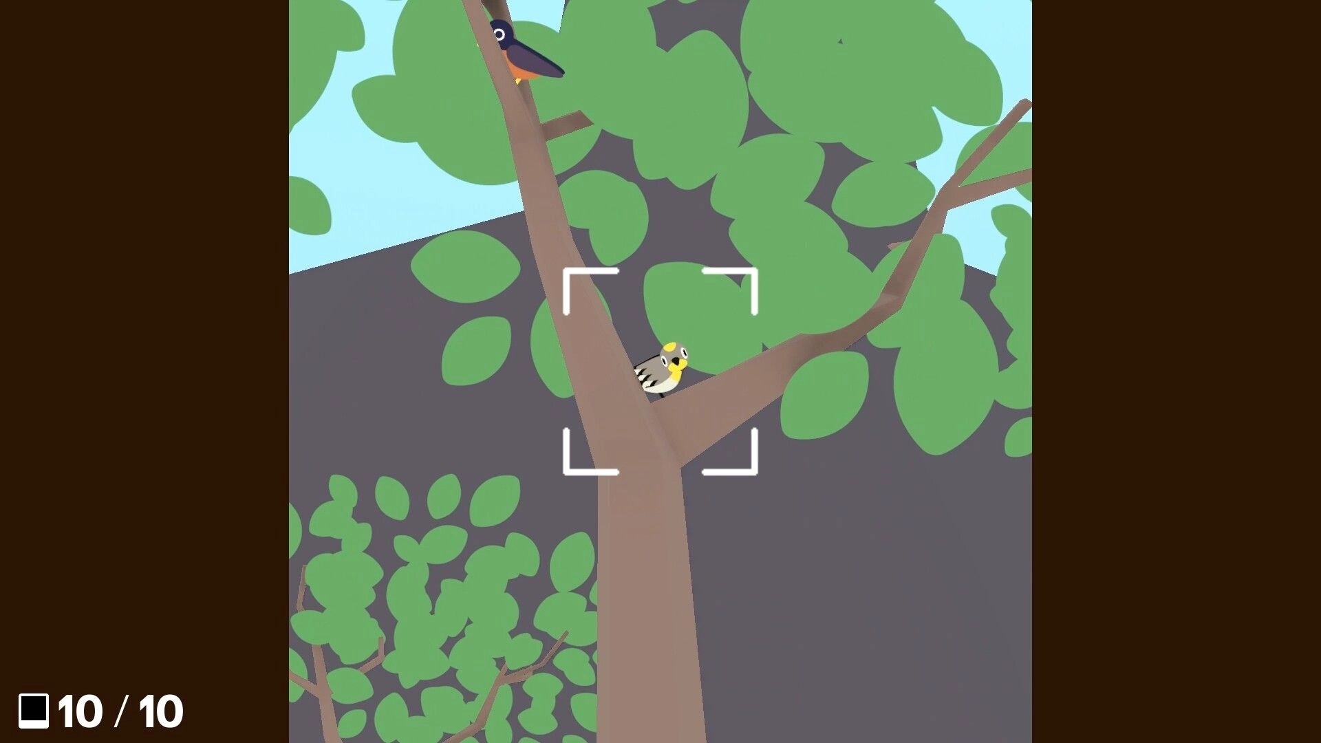 Flock Around: Birdwatching camera focuses on yellow bird perched in leafy tree, counter shows 10/10