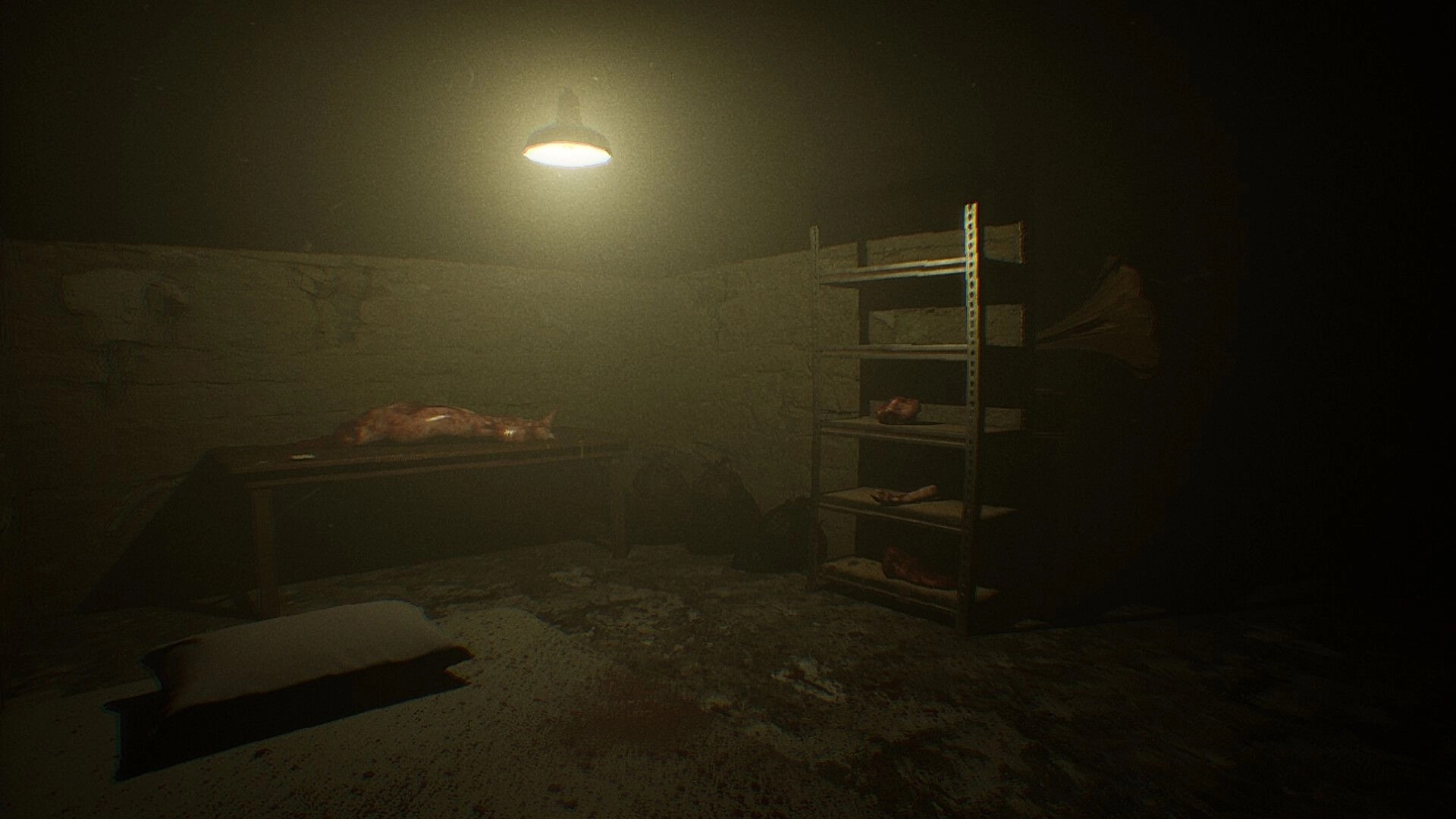 From Devil's Womb: Dimly lit basement with meat on table and shelves, creating a haunting atmosphere.