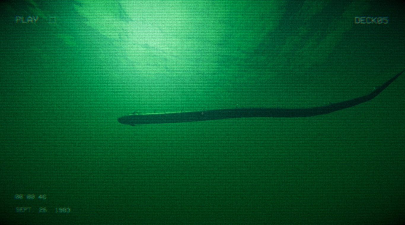 Full Fathom: Sonar-like view tracking a long eel-shaped creature in murky green water, DECK05 UI.