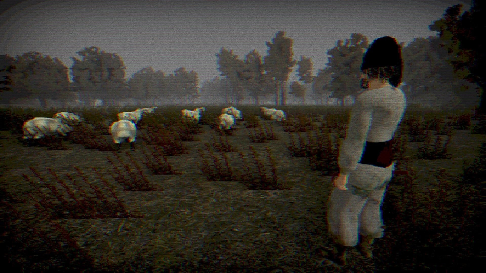 Geamana Village: Character observing sheep in a foggy, wooded field environment with overcast sky.