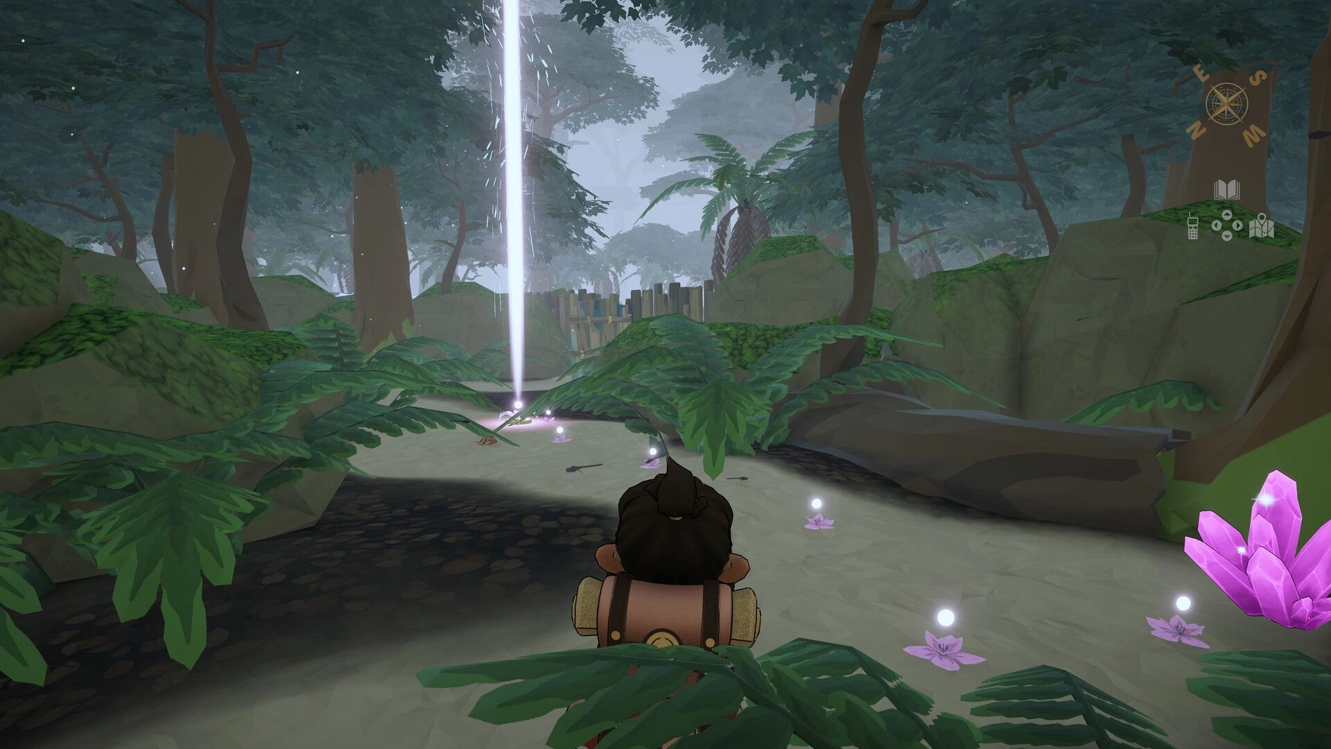 Go North: Character explores mystical forest path with glowing flowers and a beam of light in distance
