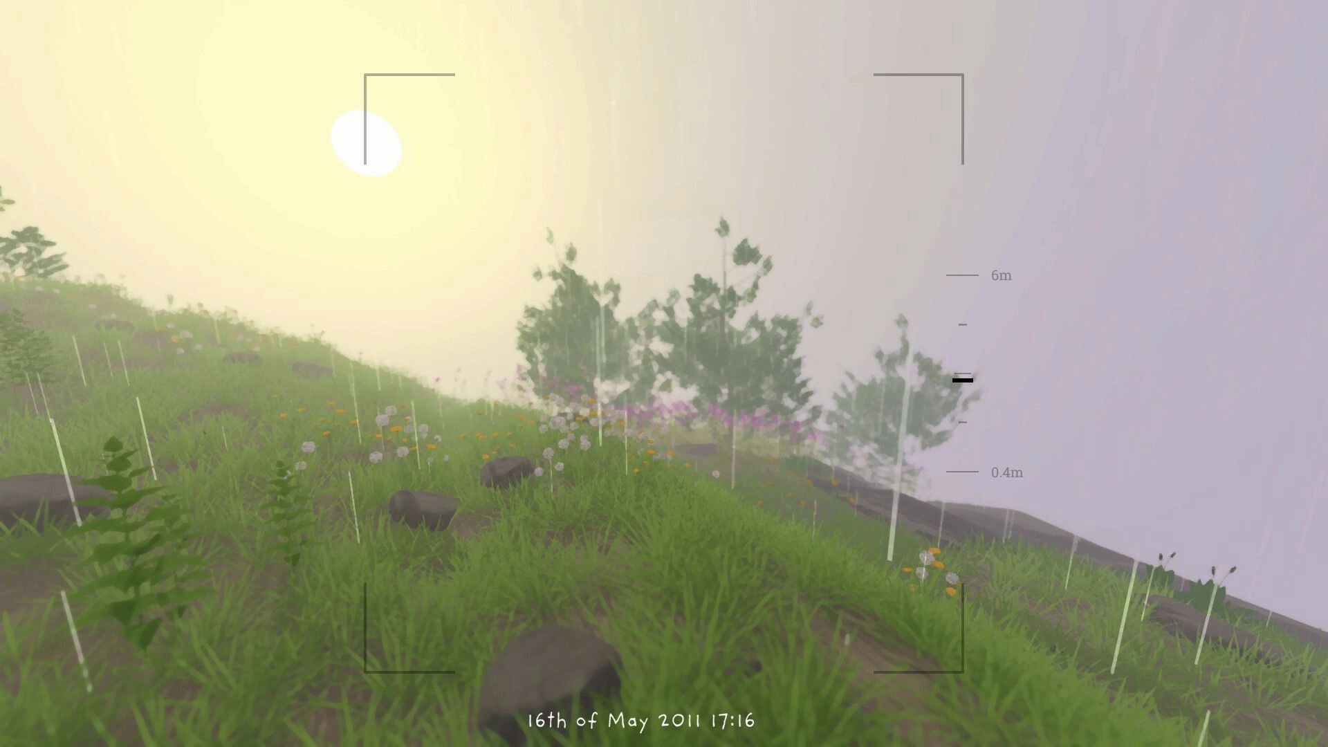 Grow Wild: Photo mode view of a rainy flowered hillside at sunrise with camera reticle and scale UI.
