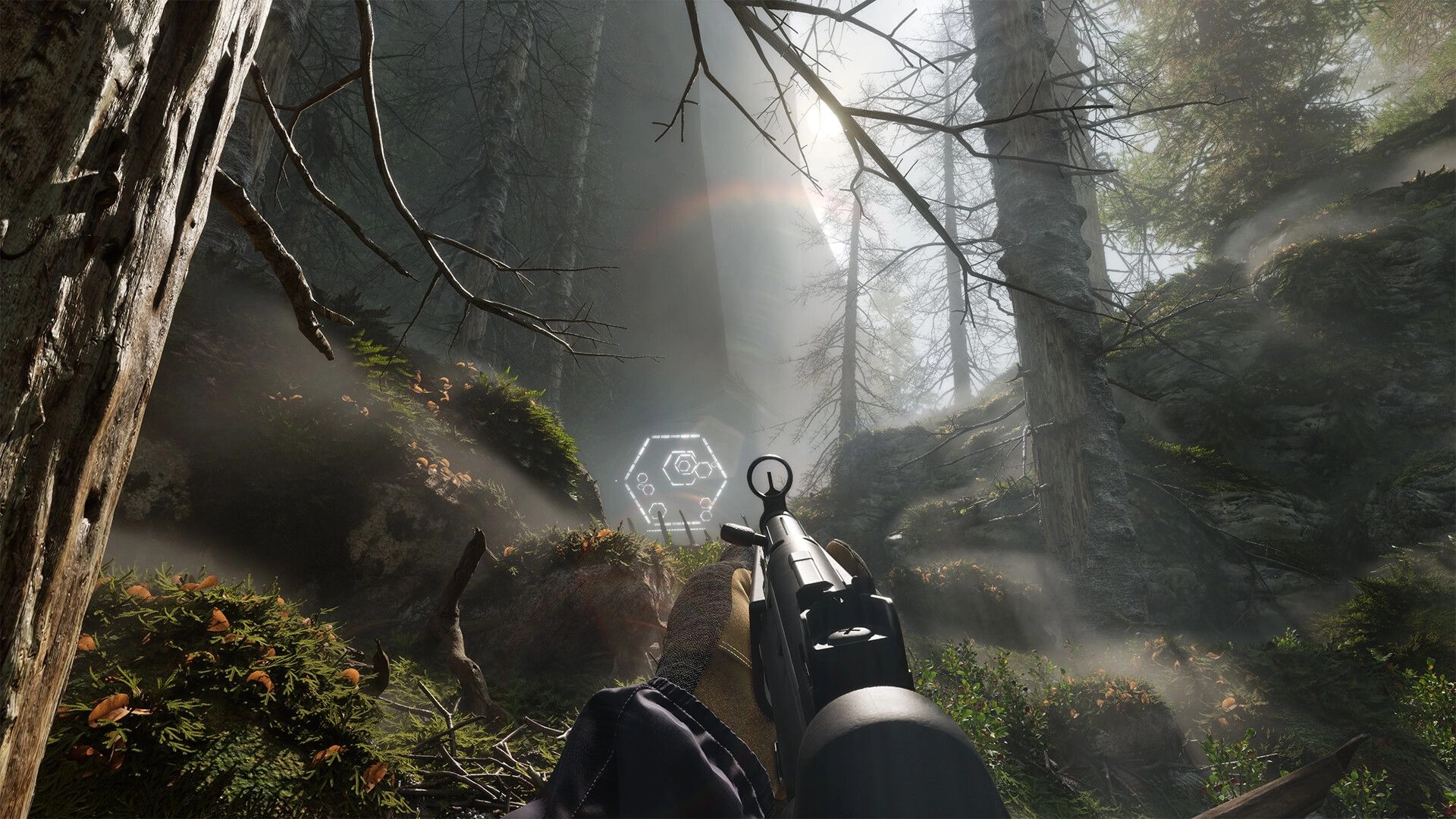 HAEX: First-person rifle aimed at glowing hex marker in misty forest ravine with sunbeams and trees.