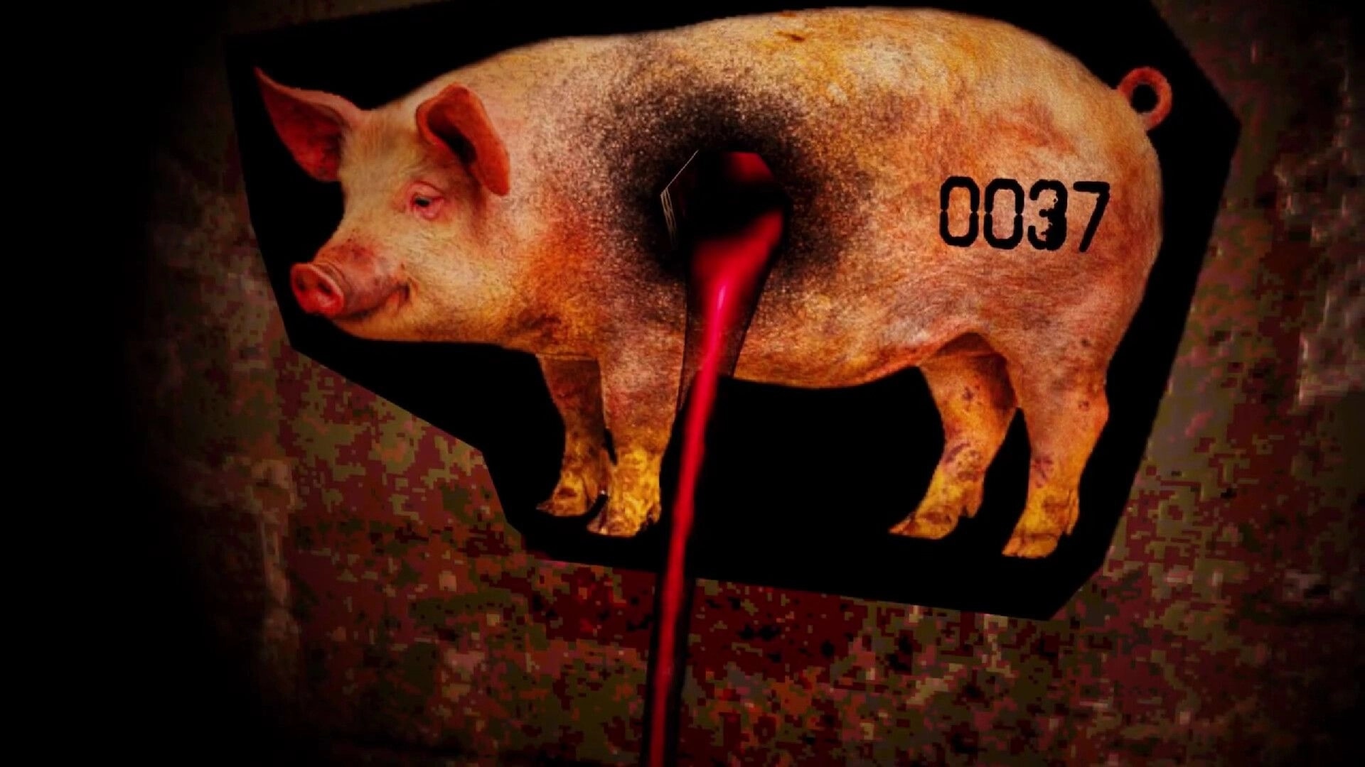 HAM HOLE: Tattooed pig labeled 0037 with a dark hole dripping red fluid in a grimy metal chamber.