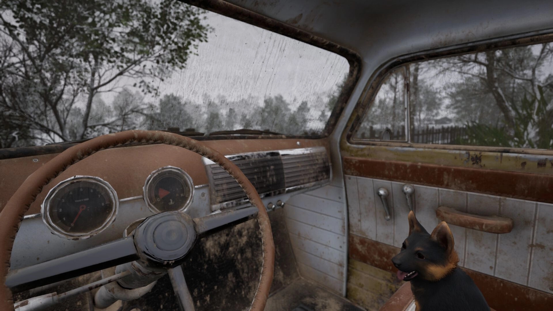 Hillshade Farm: Rusty vehicle interior with a dog on the passenger seat, overlooking a foggy forest.