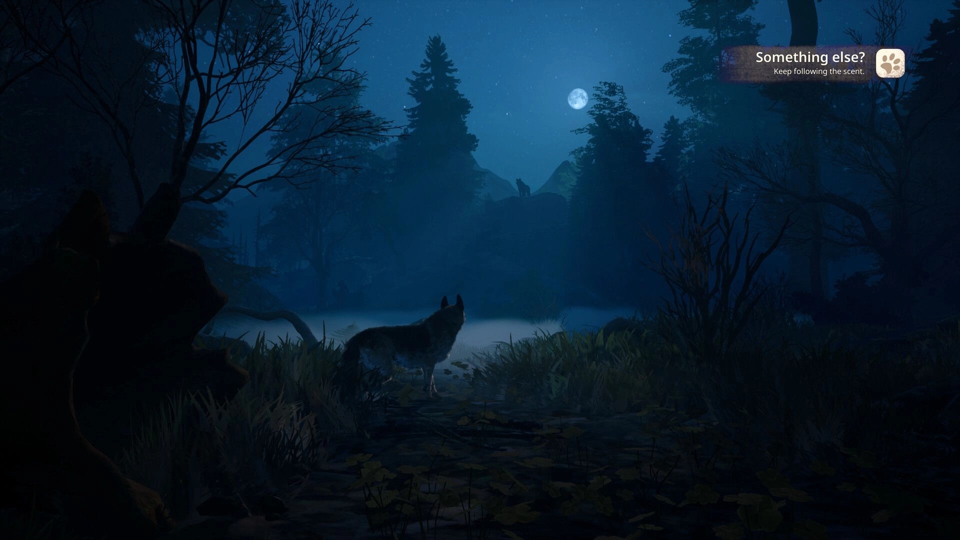 Hubert: Shepherd dog tracking scent under moonlit sky in dense forest, UI prompt guides the next action.