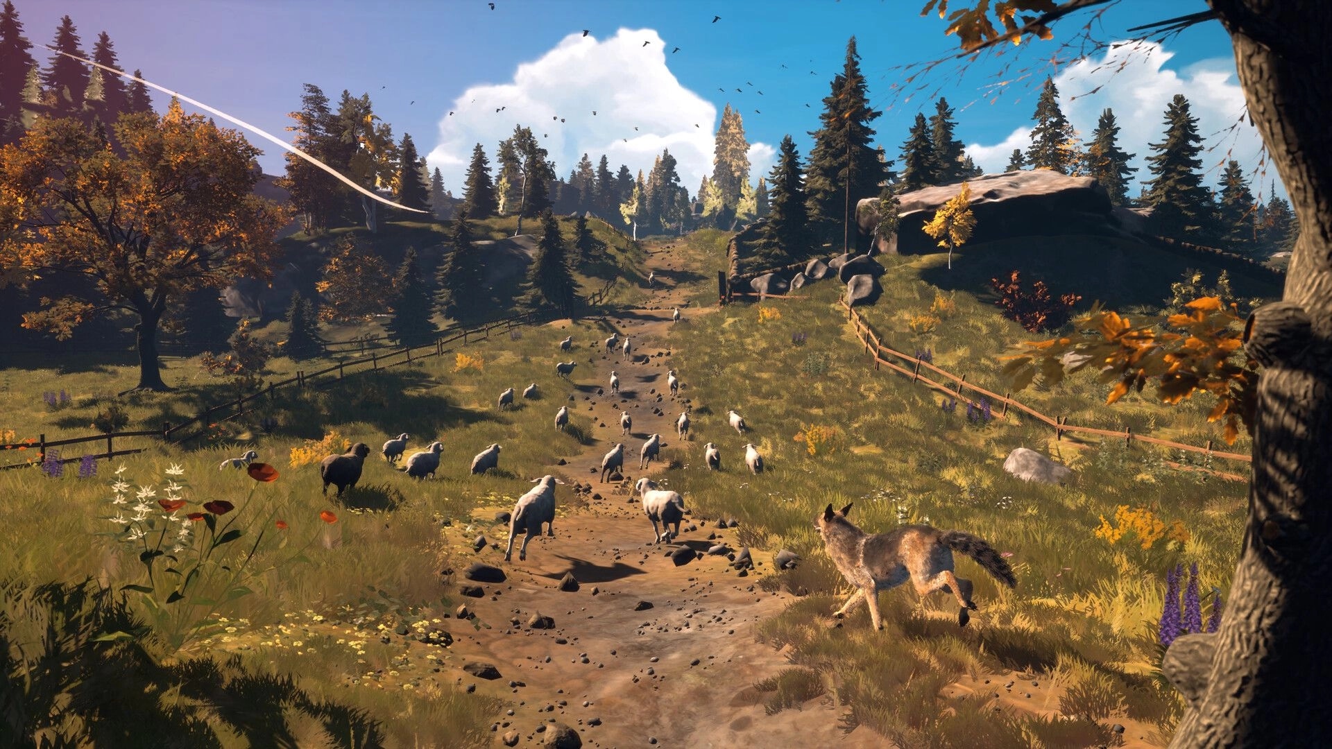Hubert: Herding sheep along a dirt path in a vibrant, sunlit forest clearing with scattered wildflowers.