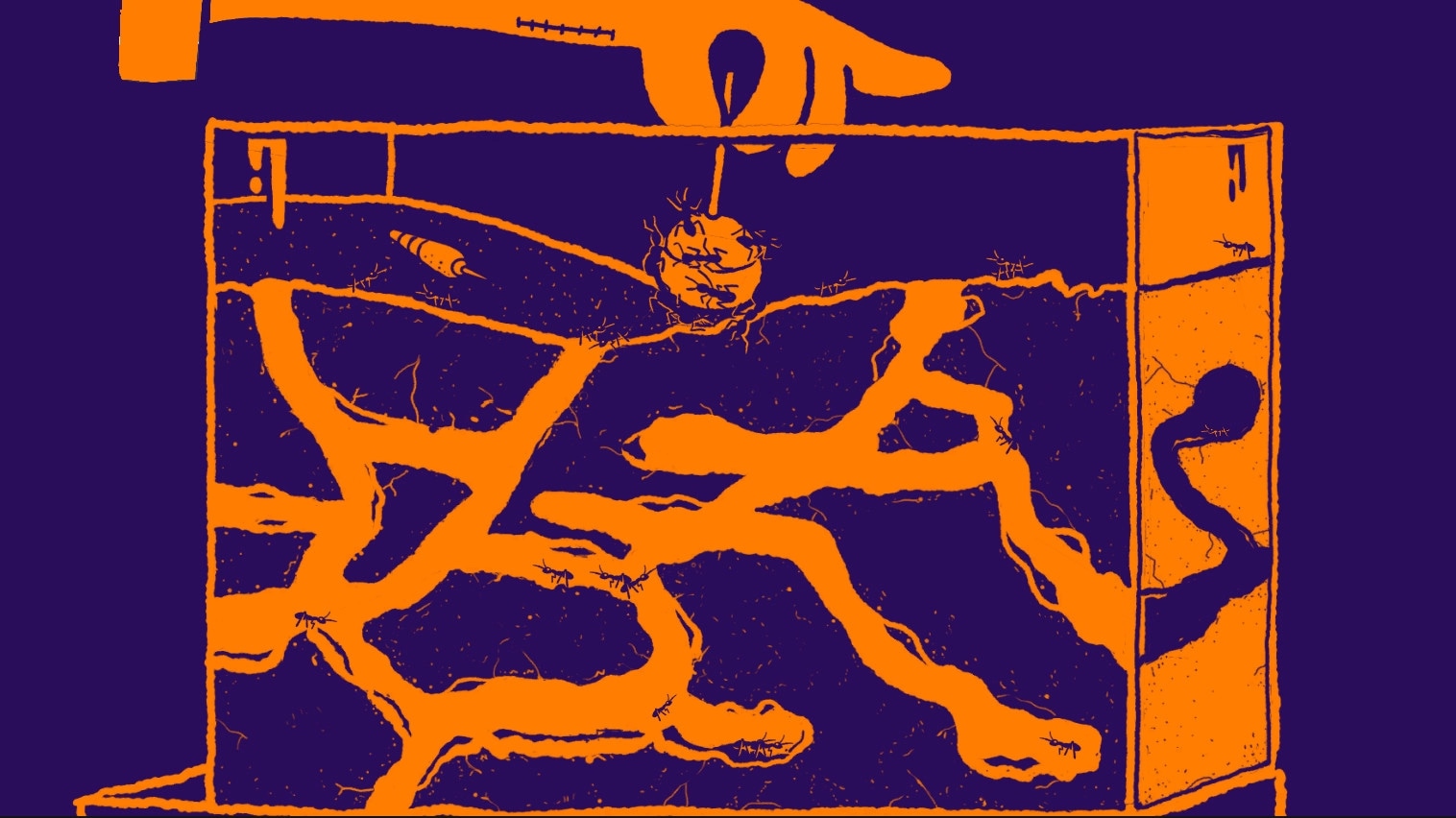 KIDDO: Hand placing an apple in an ant farm with tunnels and ants in a vibrant orange and purple color scheme
