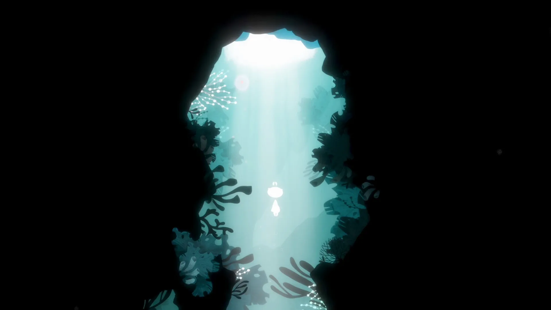 Koira: Bright light pours into a dark cave, illuminating the path surrounded by lush, shadowy foliage.